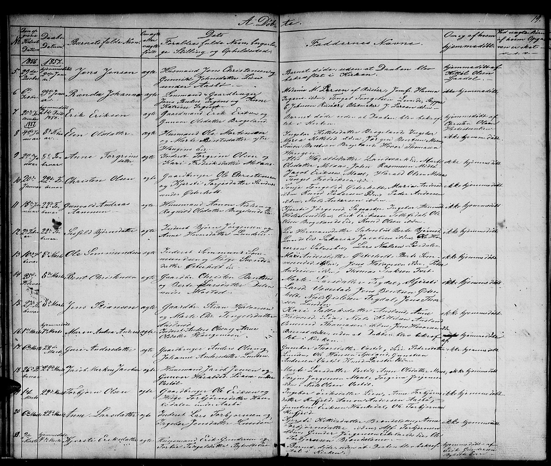 Gjerstad sokneprestkontor, AV/SAK-1111-0014/F/Fb/Fba/L0005: Parish register (copy) no. B 5, 1853-1867, p. 19