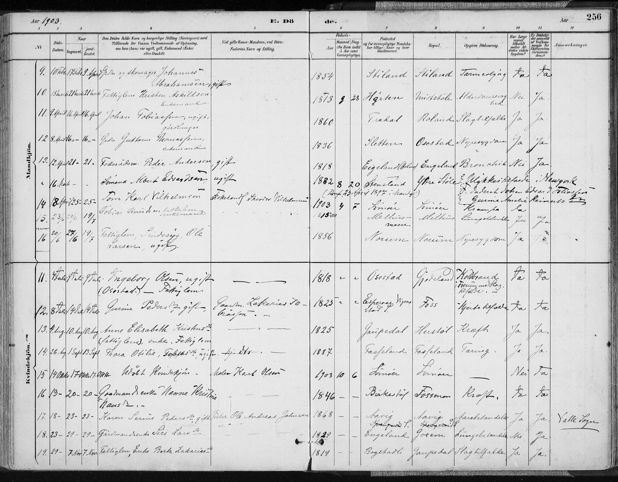 Sør-Audnedal sokneprestkontor, AV/SAK-1111-0039/F/Fa/Fab/L0010: Parish register (official) no. A 10, 1892-1913, p. 256