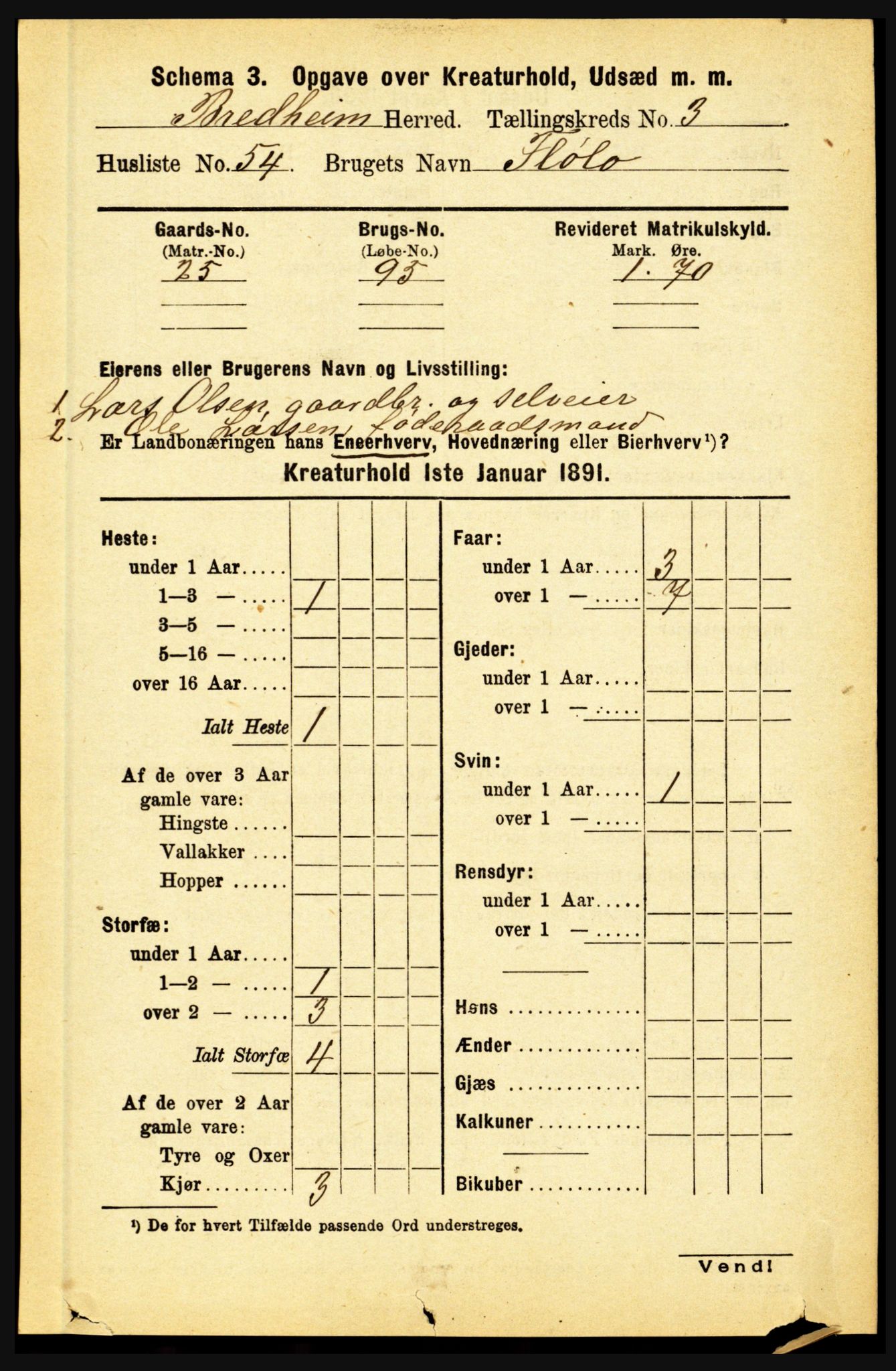 RA, 1891 census for 1446 Breim, 1891, p. 2654