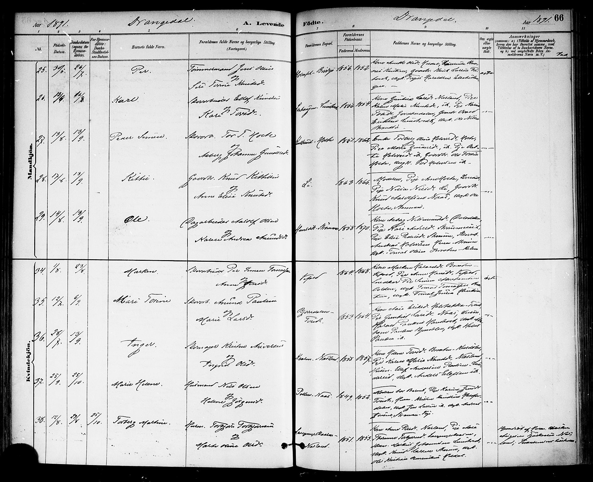 Drangedal kirkebøker, AV/SAKO-A-258/F/Fa/L0010: Parish register (official) no. 10 /1, 1885-1894, p. 66