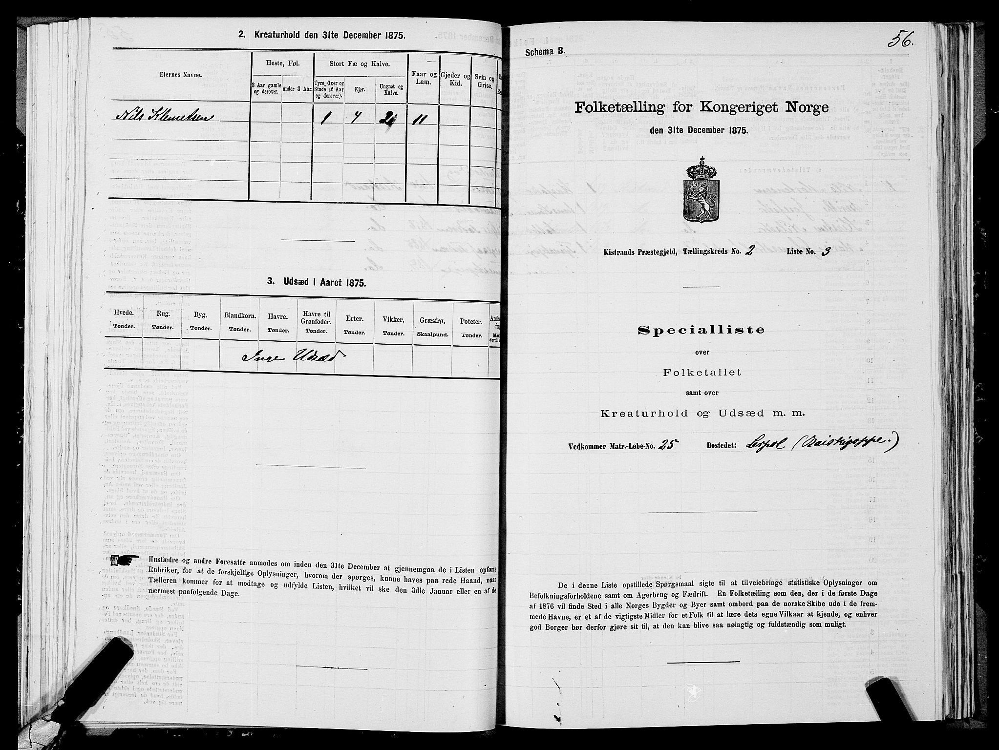 SATØ, 1875 census for 2020P Kistrand, 1875, p. 1056