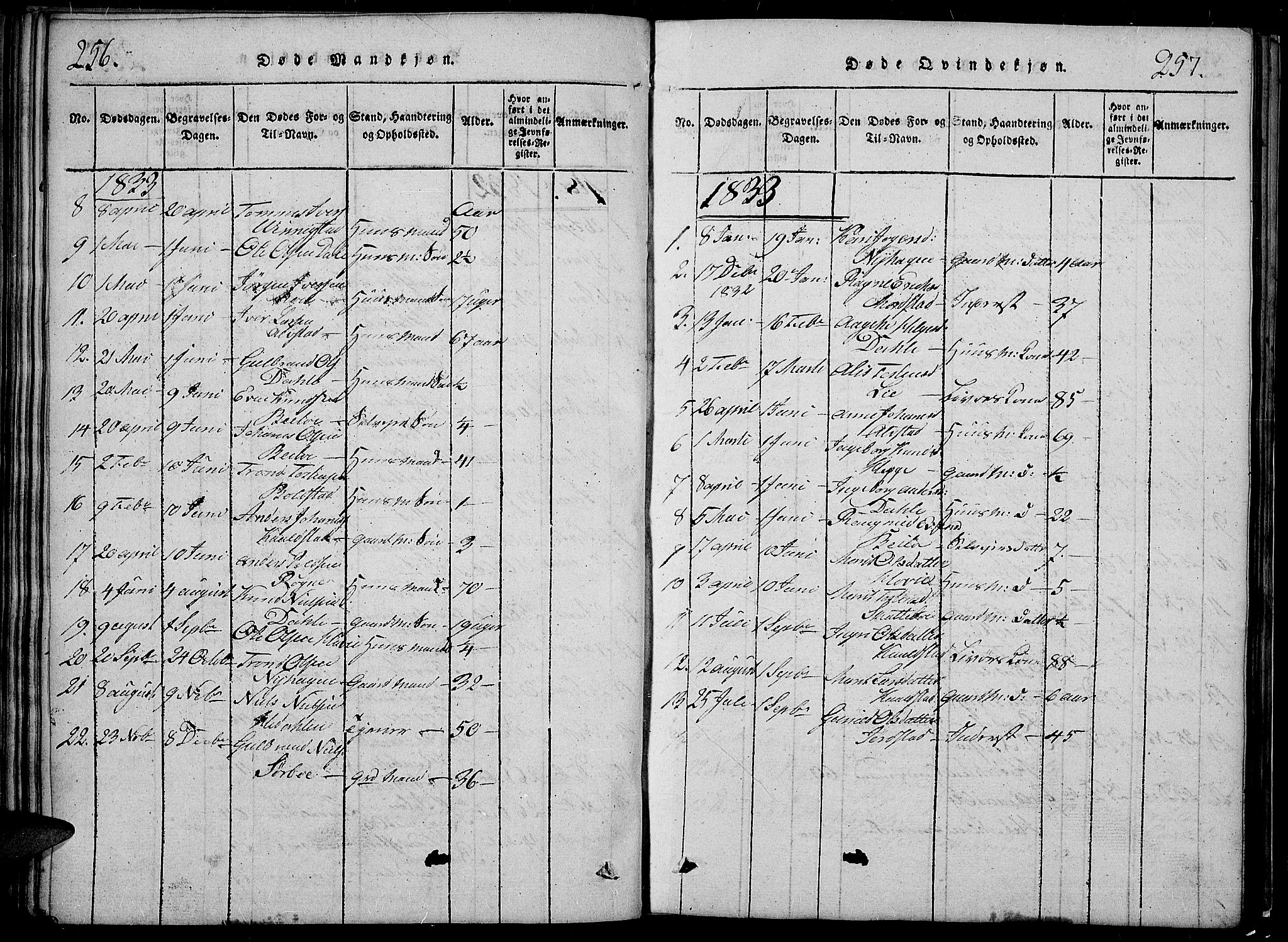 Slidre prestekontor, SAH/PREST-134/H/Ha/Hab/L0002: Parish register (copy) no. 2, 1814-1839, p. 256-257
