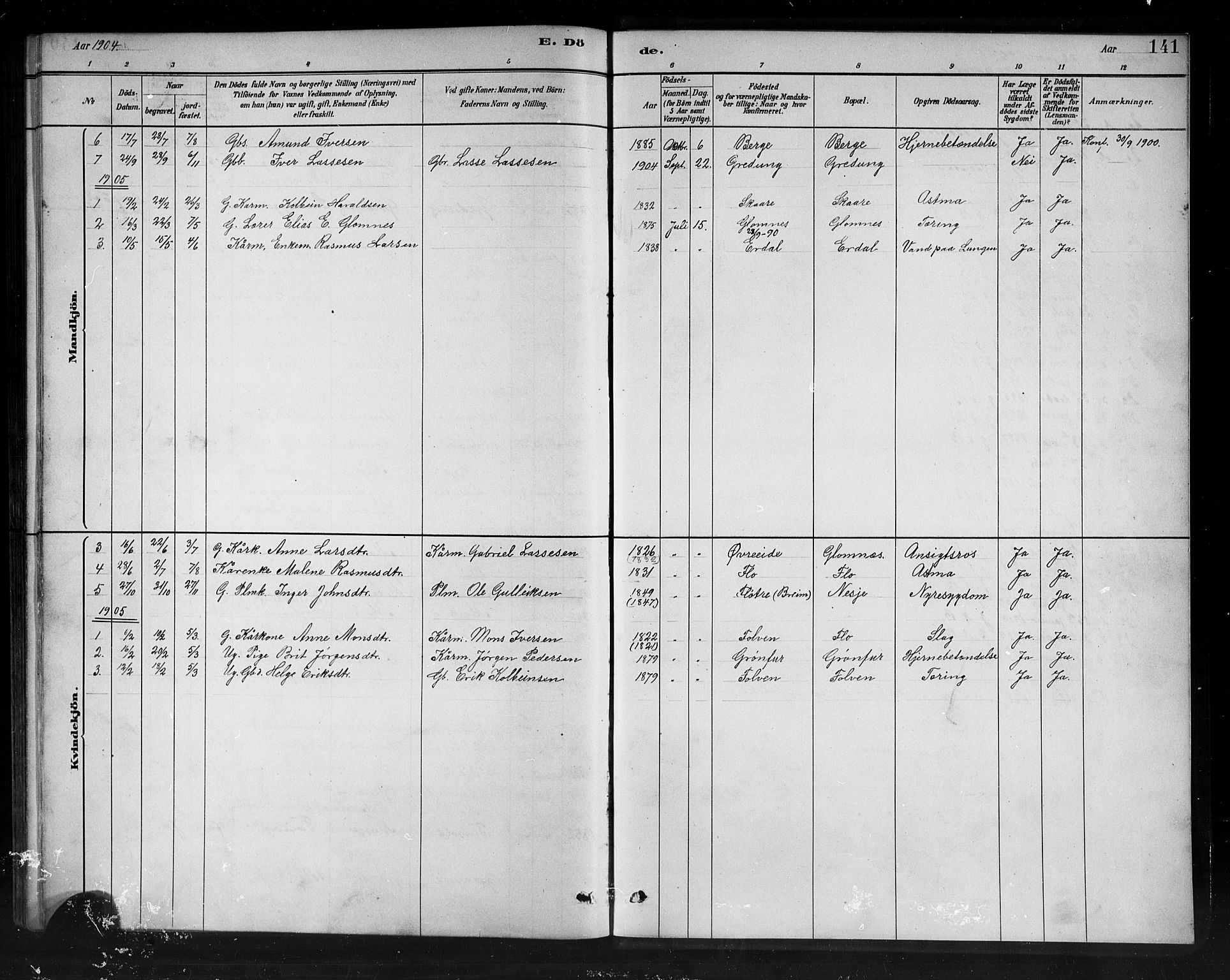 Stryn Sokneprestembete, AV/SAB-A-82501: Parish register (copy) no. C 3, 1881-1905, p. 141