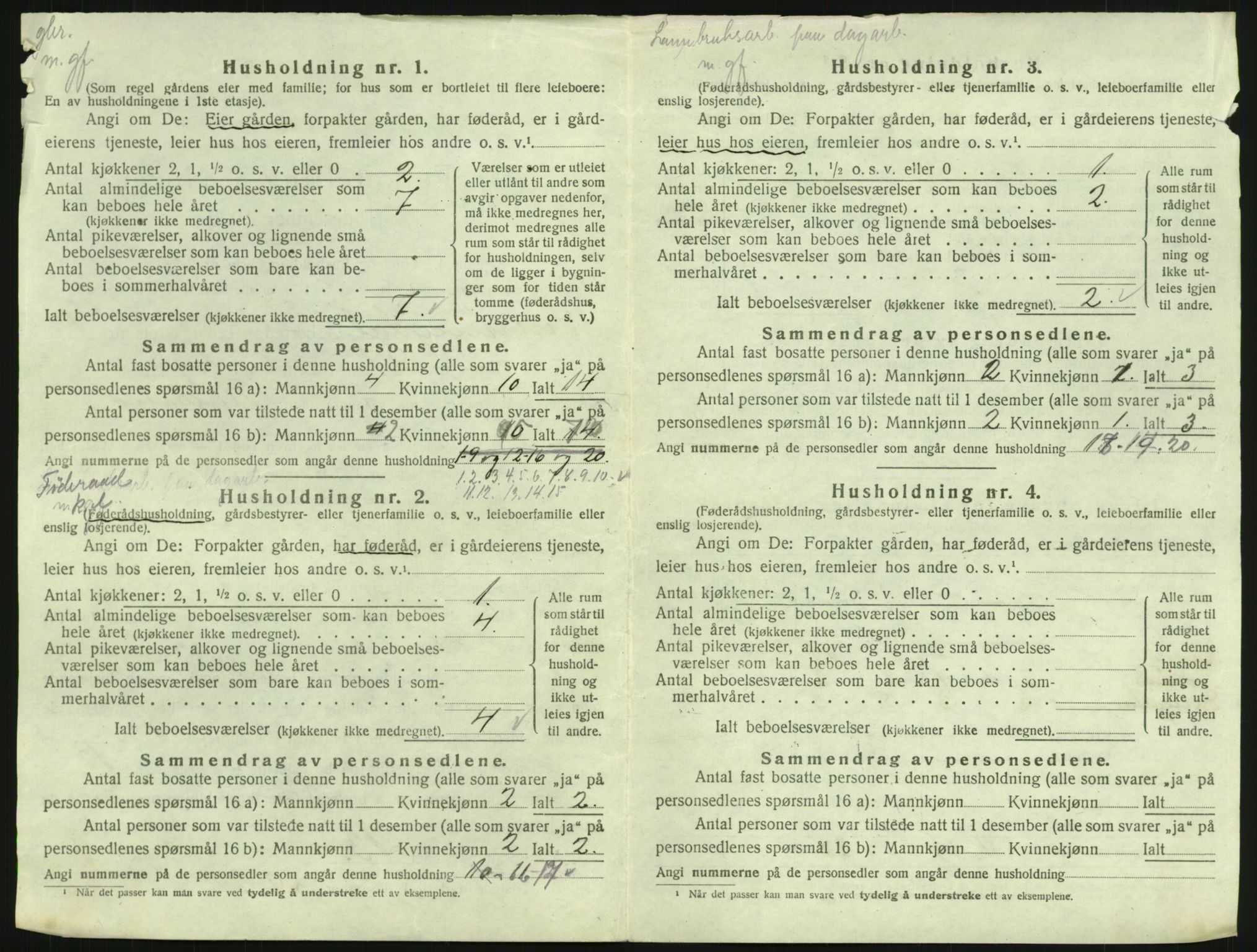 SAH, 1920 census for Snertingdal, 1920, p. 30