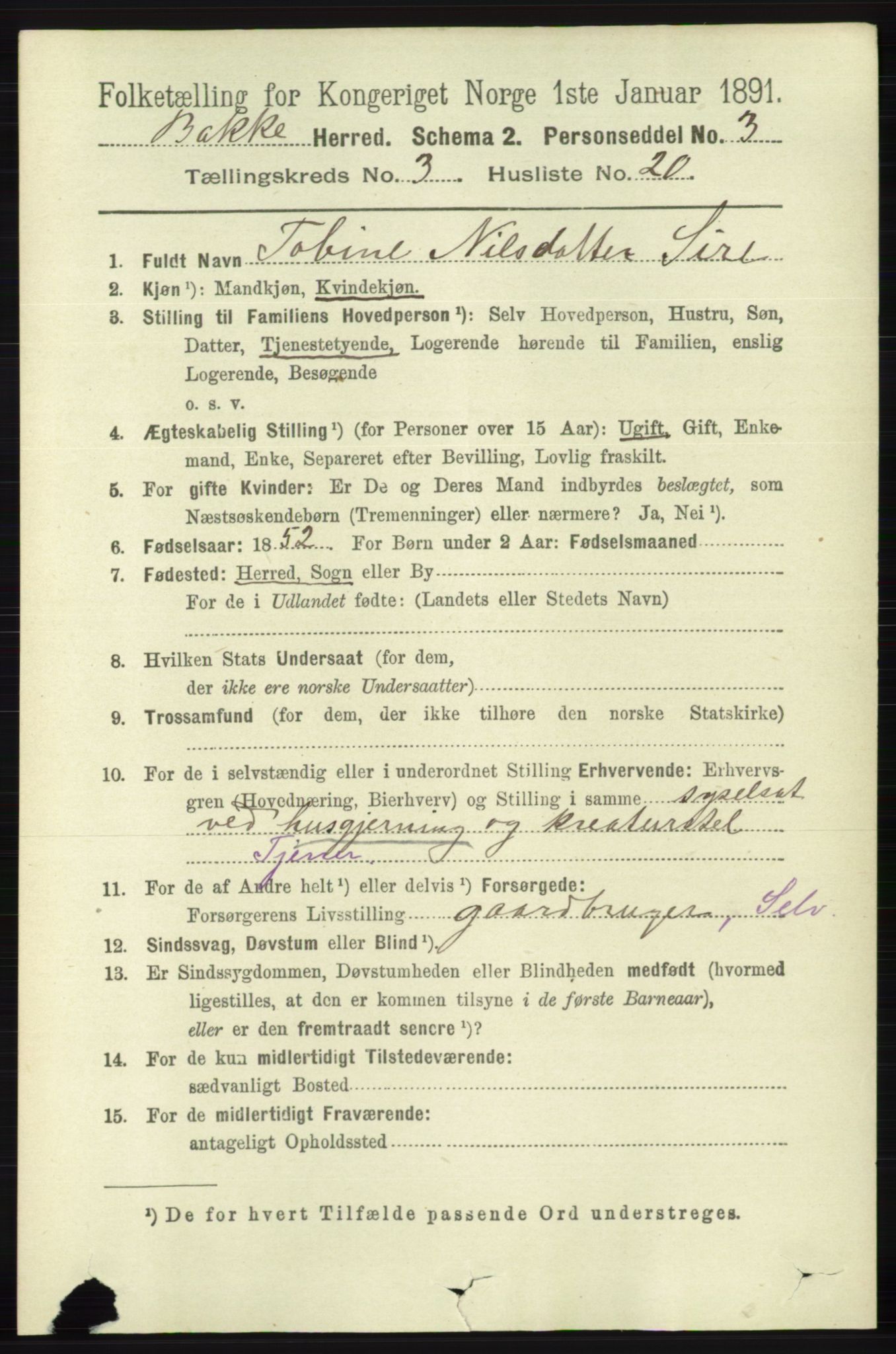 RA, 1891 census for 1045 Bakke, 1891, p. 539