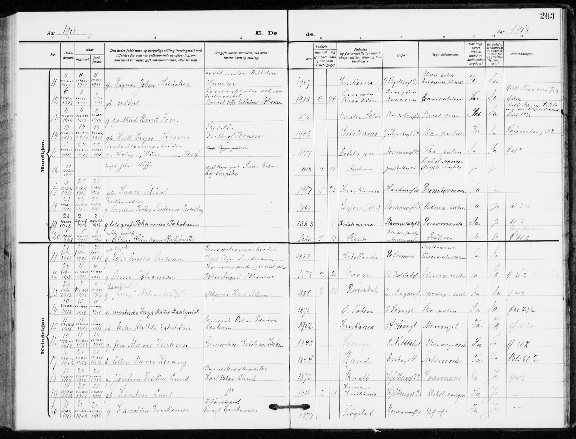 Kampen prestekontor Kirkebøker, SAO/A-10853/F/Fa/L0013: Parish register (official) no. I 13, 1917-1922, p. 263