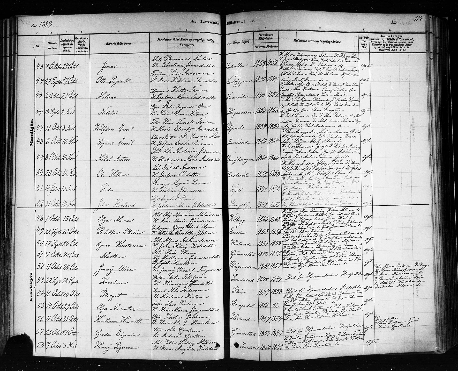 Nøtterøy kirkebøker, SAKO/A-354/F/Fa/L0008: Parish register (official) no. I 8, 1878-1893, p. 117