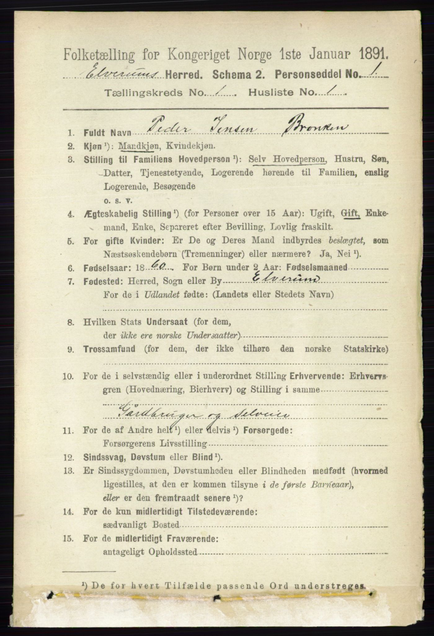 RA, 1891 census for 0427 Elverum, 1891, p. 203