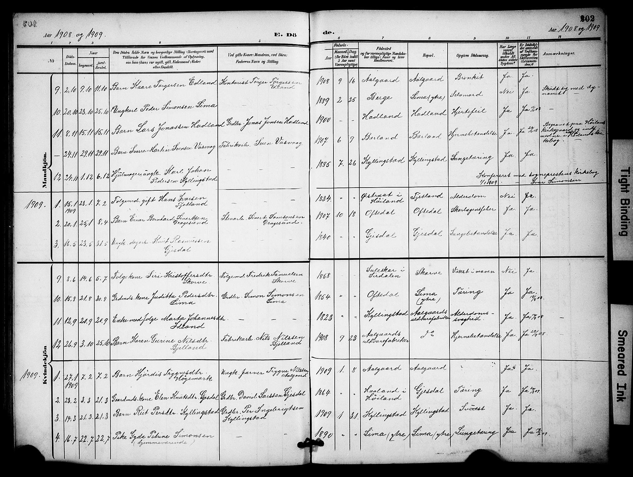 Lye sokneprestkontor, SAST/A-101794/001/30BB/L0009: Parish register (copy) no. B 9, 1902-1923, p. 202