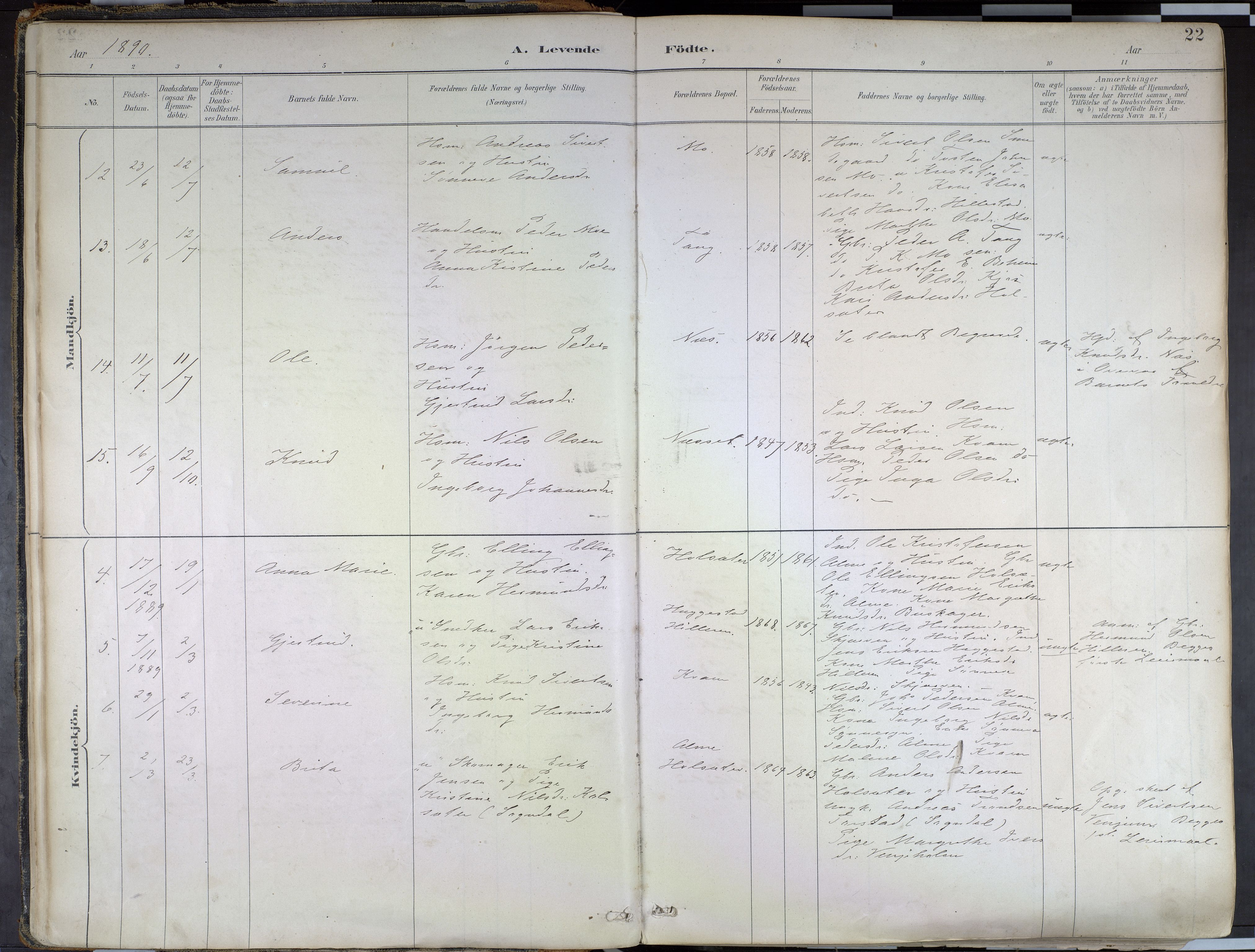 Hafslo sokneprestembete, AV/SAB-A-80301/H/Haa/Haab/L0001: Parish register (official) no. B 1, 1886-1945, p. 22