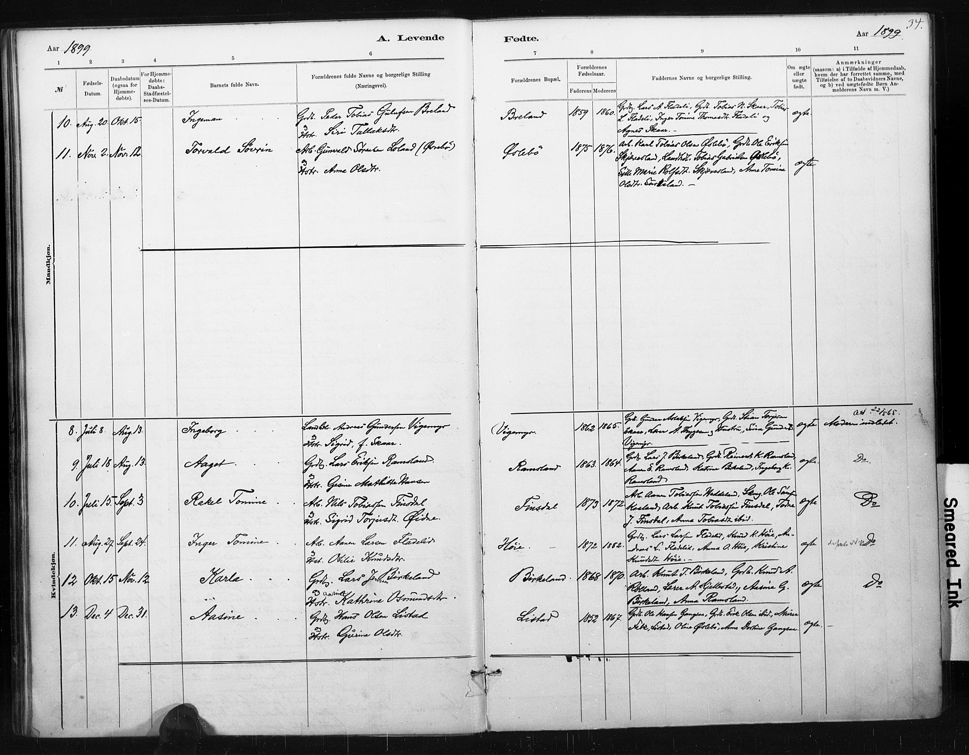 Holum sokneprestkontor, AV/SAK-1111-0022/F/Fa/Fac/L0004: Parish register (official) no. A 4, 1884-1907, p. 34