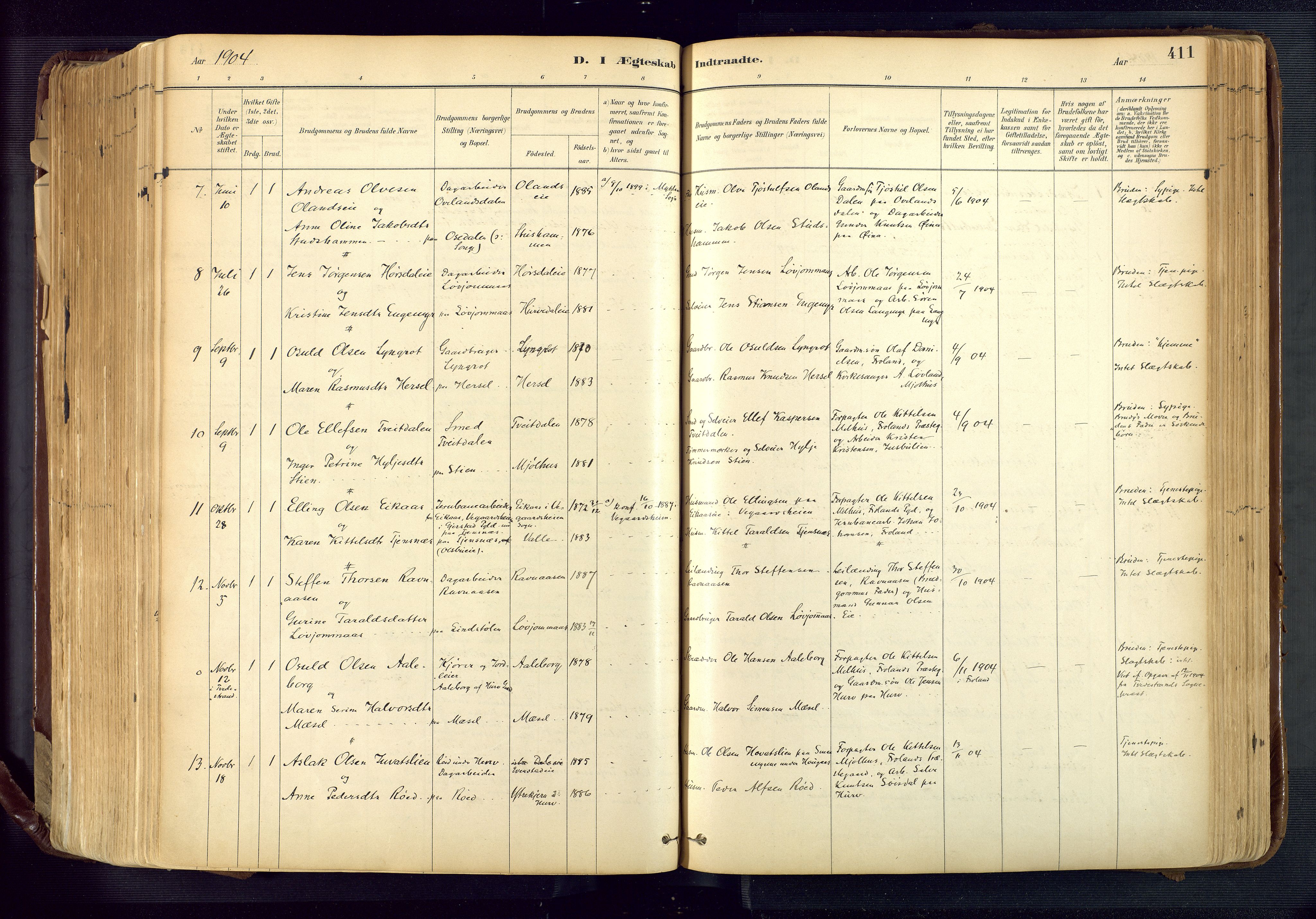 Froland sokneprestkontor, SAK/1111-0013/F/Fa/L0005: Parish register (official) no. A 5, 1882-1921, p. 411