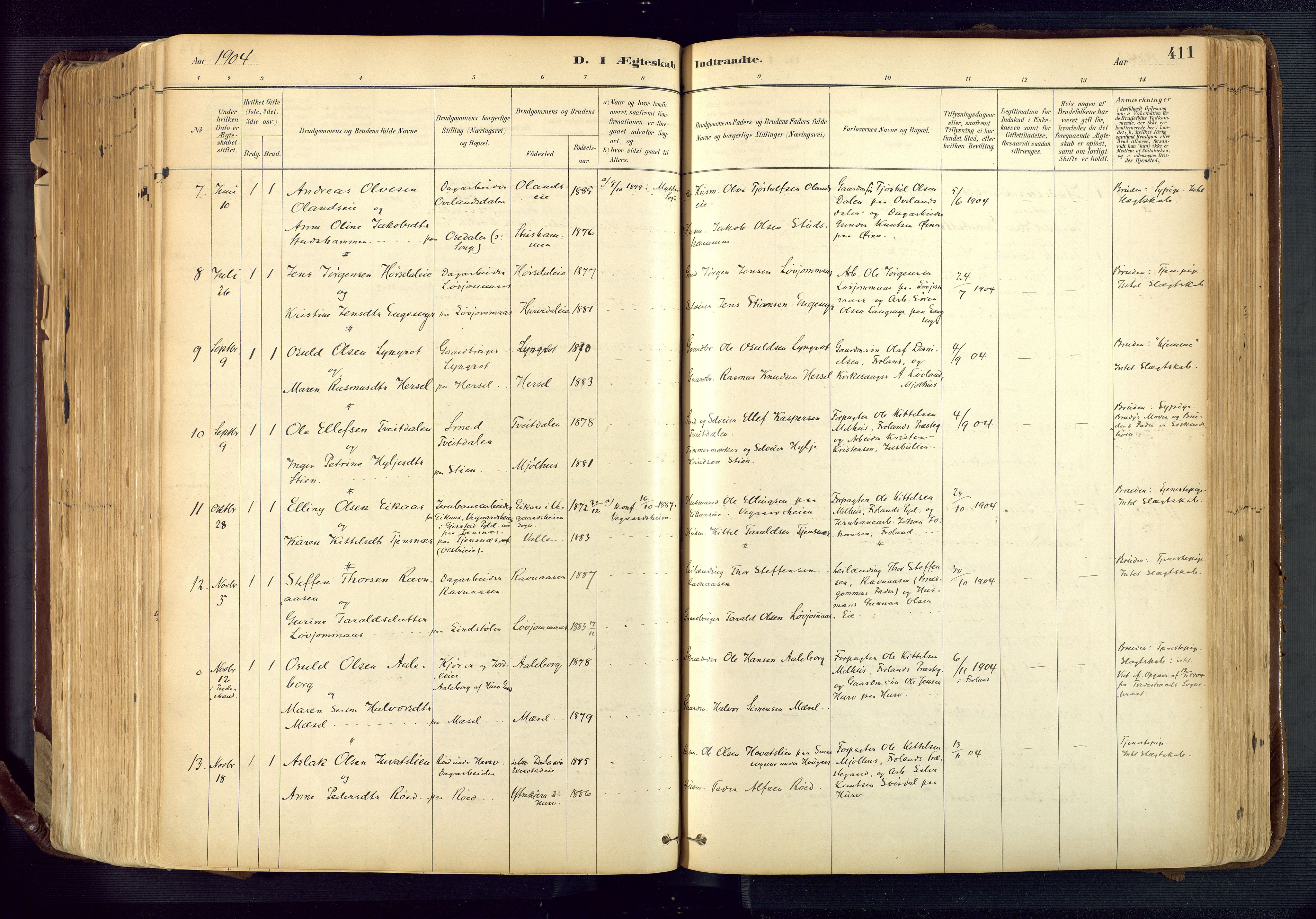 Froland sokneprestkontor, AV/SAK-1111-0013/F/Fa/L0005: Parish register (official) no. A 5, 1882-1921, p. 411