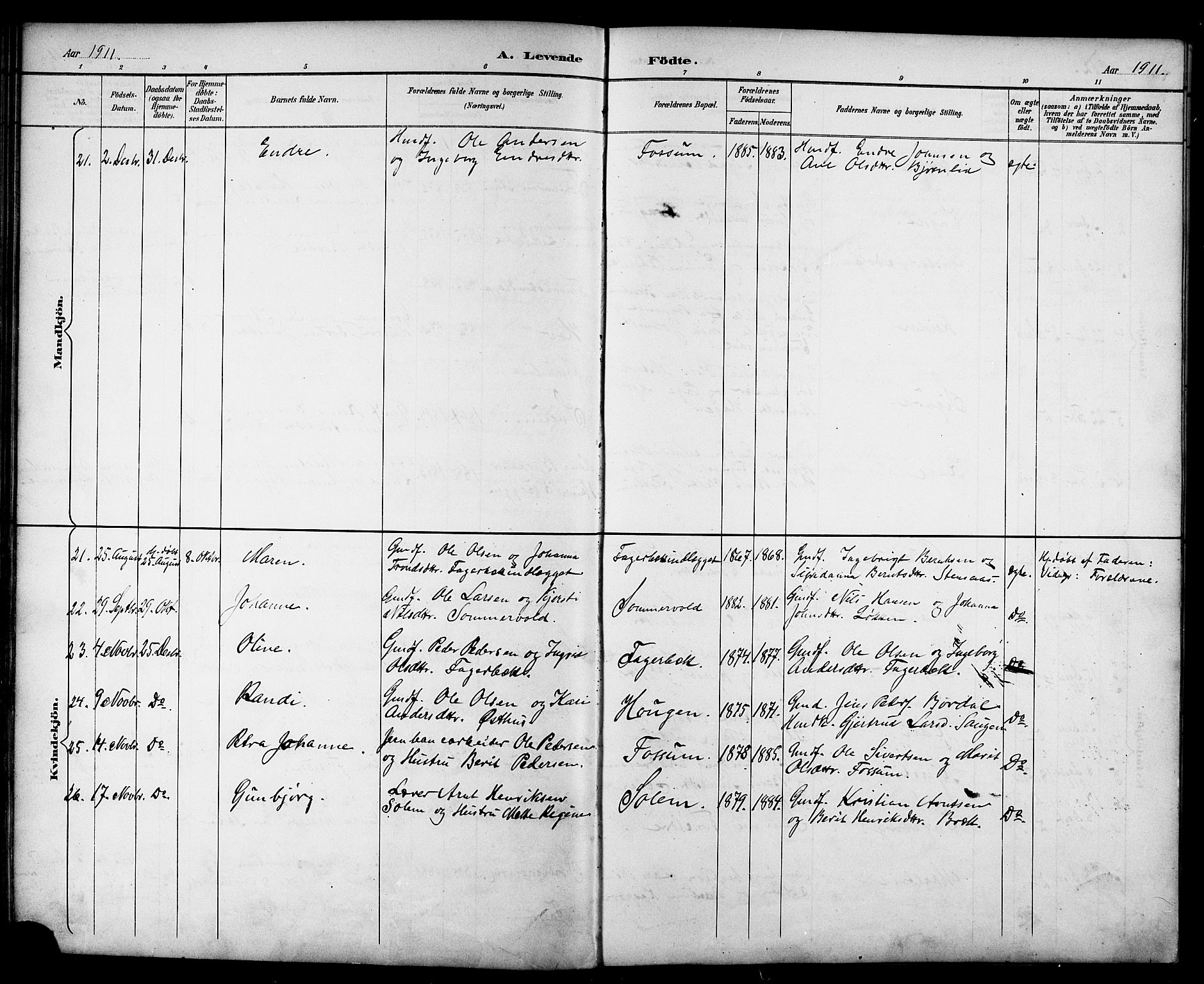 Ministerialprotokoller, klokkerbøker og fødselsregistre - Sør-Trøndelag, AV/SAT-A-1456/689/L1044: Parish register (copy) no. 689C03, 1893-1922