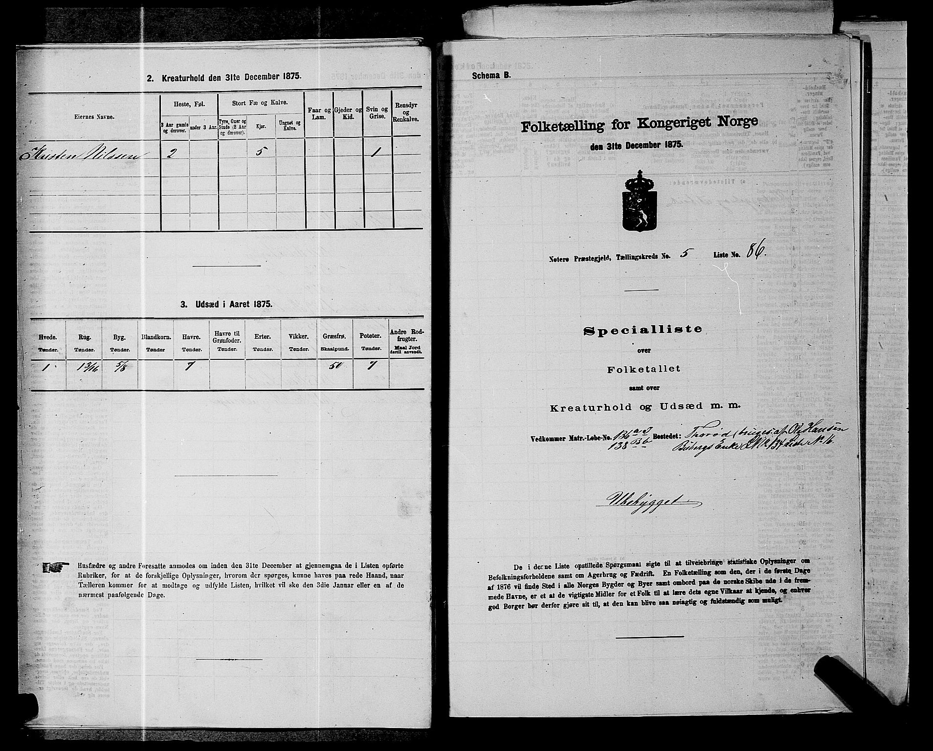 SAKO, 1875 census for 0722P Nøtterøy, 1875, p. 1144