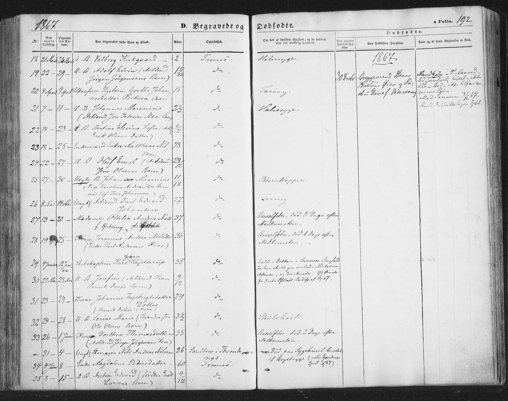Tromsø sokneprestkontor/stiftsprosti/domprosti, SATØ/S-1343/G/Ga/L0012kirke: Parish register (official) no. 12, 1865-1871, p. 192