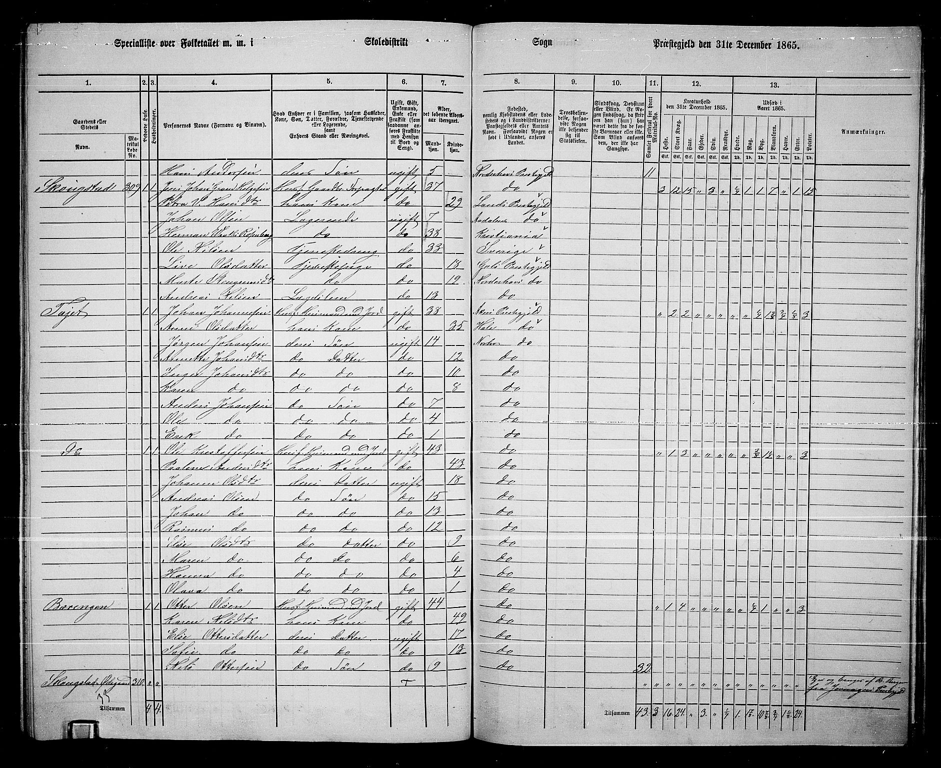 RA, 1865 census for Norderhov/Norderhov, Haug og Lunder, 1865, p. 261