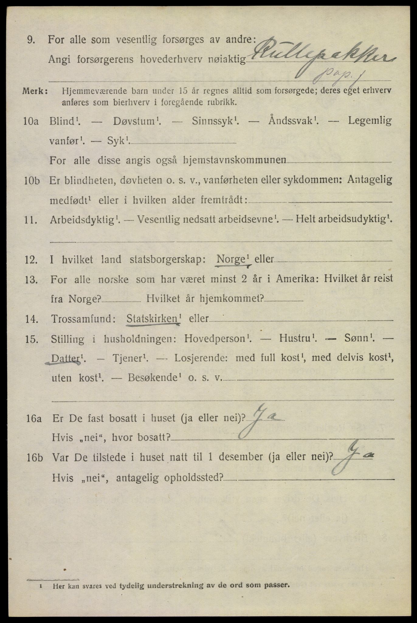 SAKO, 1920 census for Solum, 1920, p. 4253