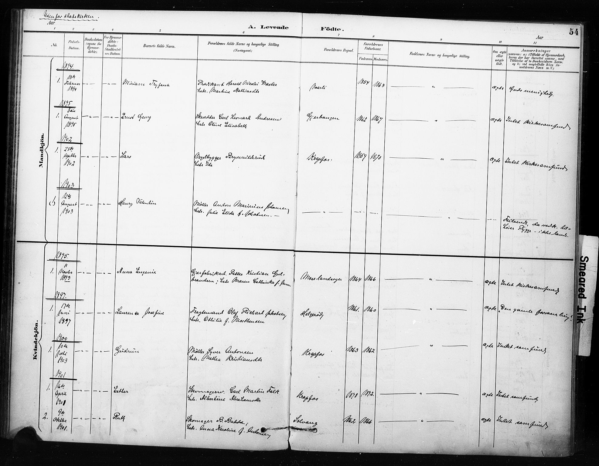Moss prestekontor Kirkebøker, AV/SAO-A-2003/F/Fc/L0002: Parish register (official) no. III 2, 1894-1906, p. 54