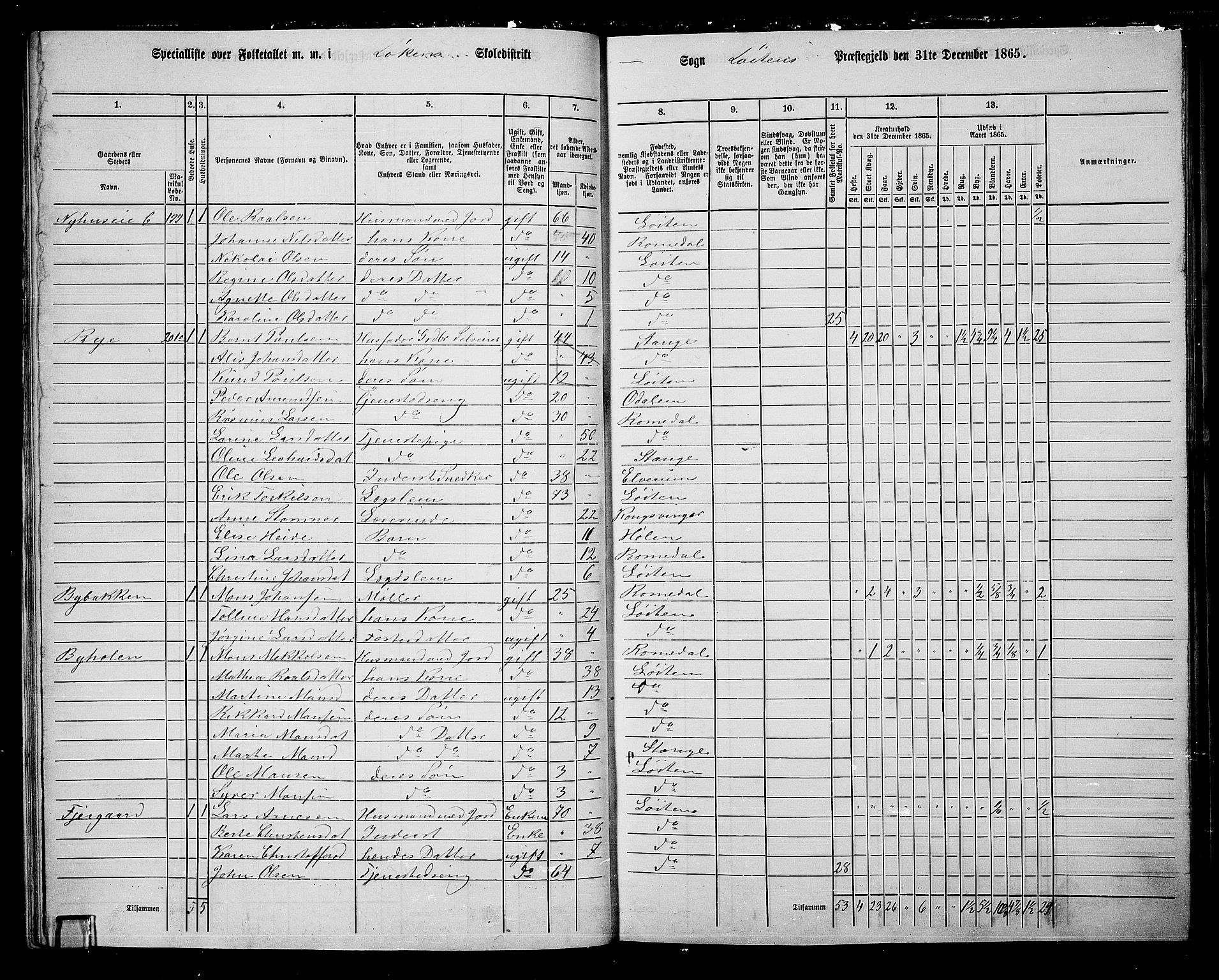 RA, 1865 census for Løten, 1865, p. 49