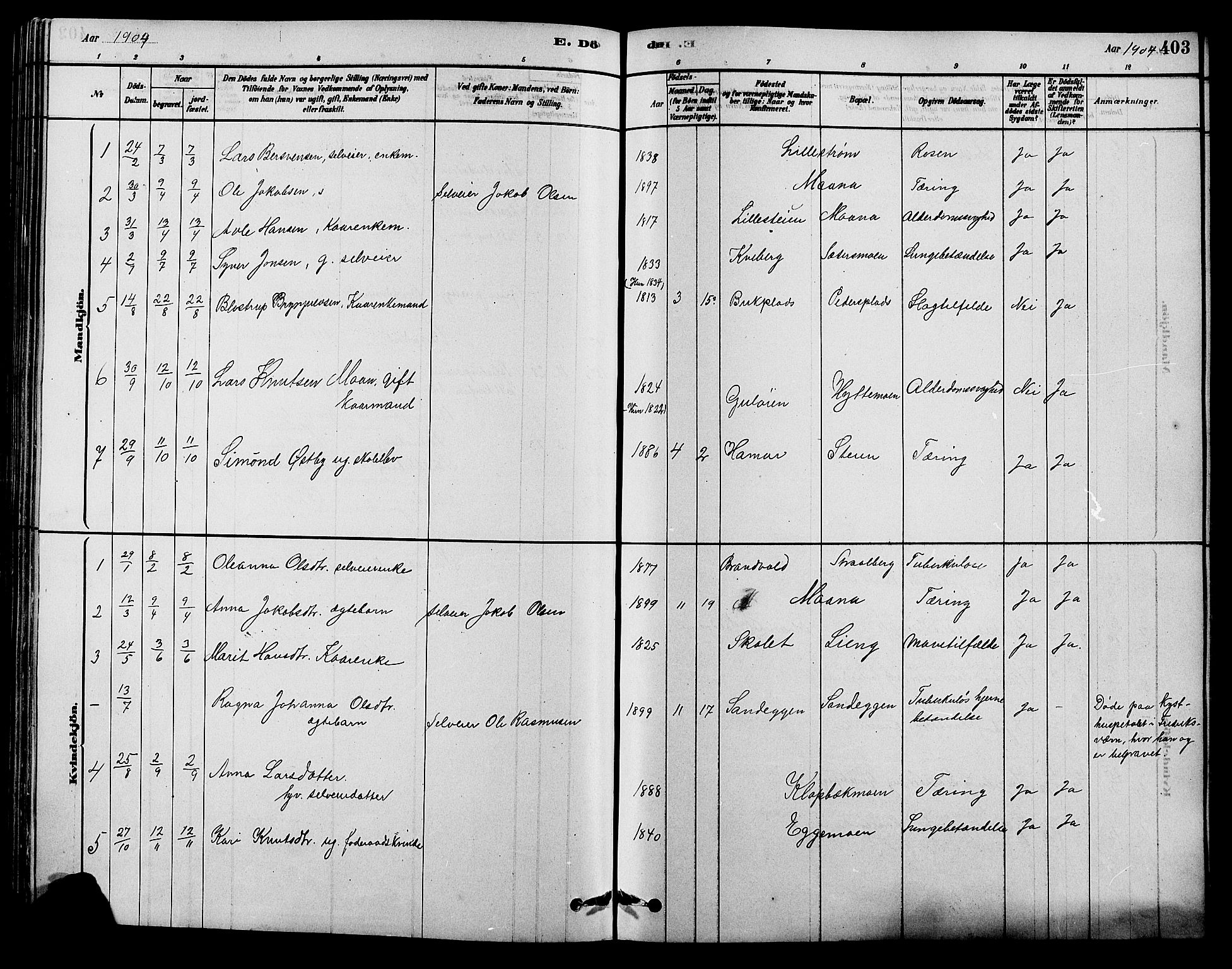 Alvdal prestekontor, SAH/PREST-060/H/Ha/Hab/L0003: Parish register (copy) no. 3, 1878-1907, p. 403