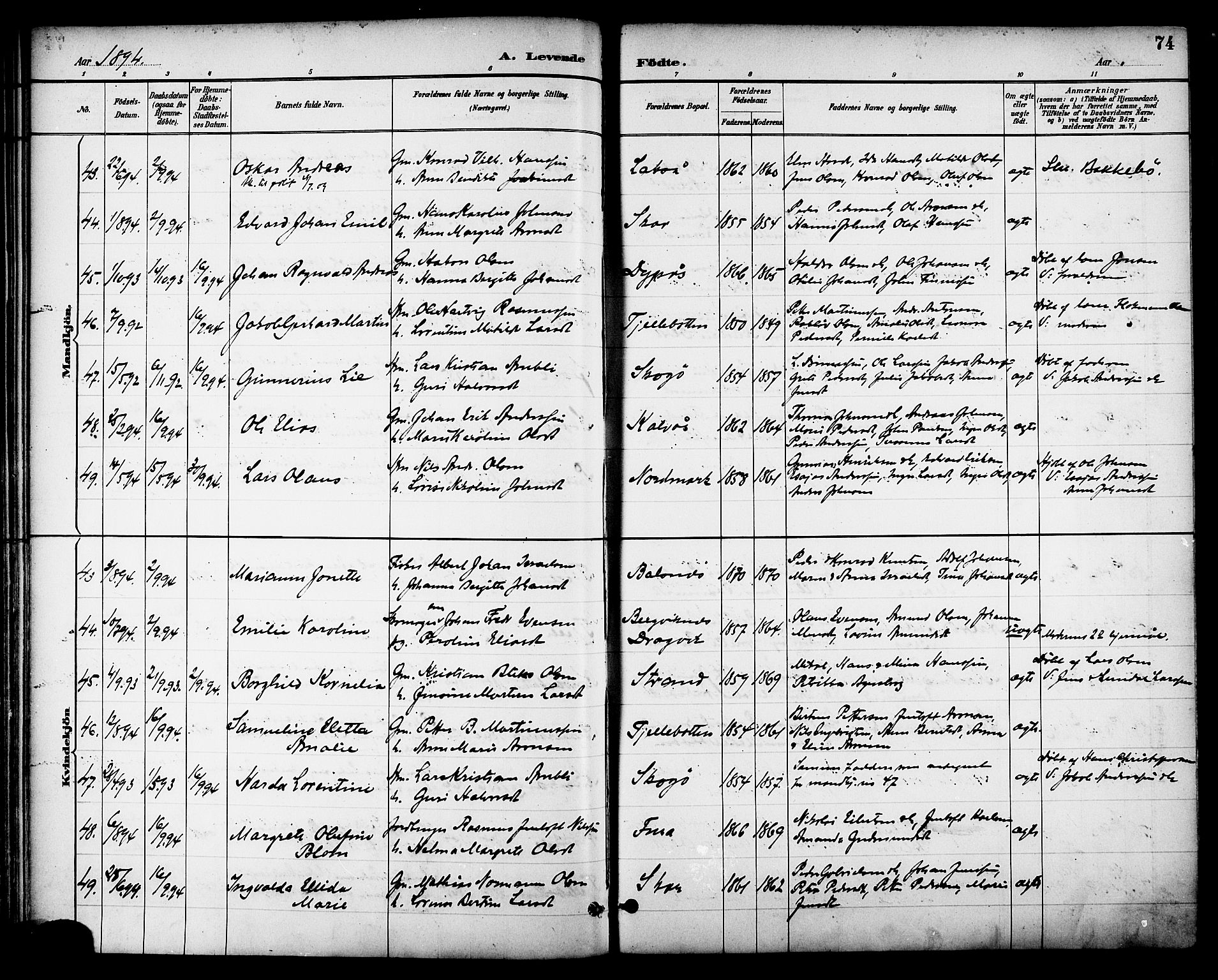 Ministerialprotokoller, klokkerbøker og fødselsregistre - Nordland, AV/SAT-A-1459/863/L0898: Parish register (official) no. 863A10, 1886-1897, p. 74