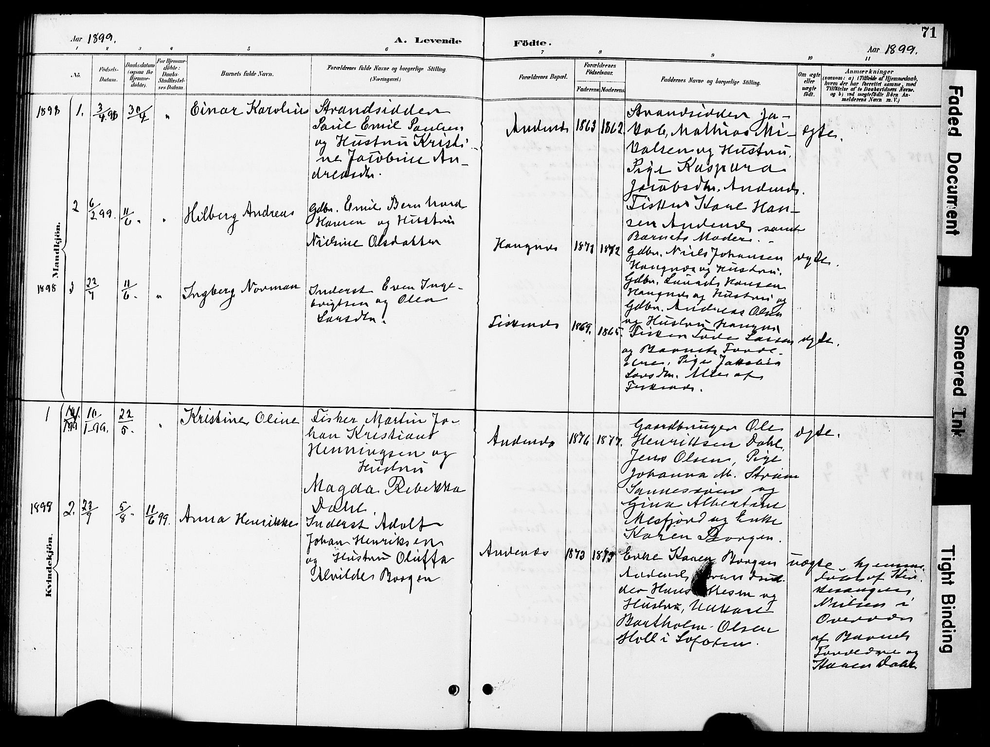 Ministerialprotokoller, klokkerbøker og fødselsregistre - Nordland, AV/SAT-A-1459/899/L1448: Parish register (copy) no. 899C03, 1887-1902, p. 71