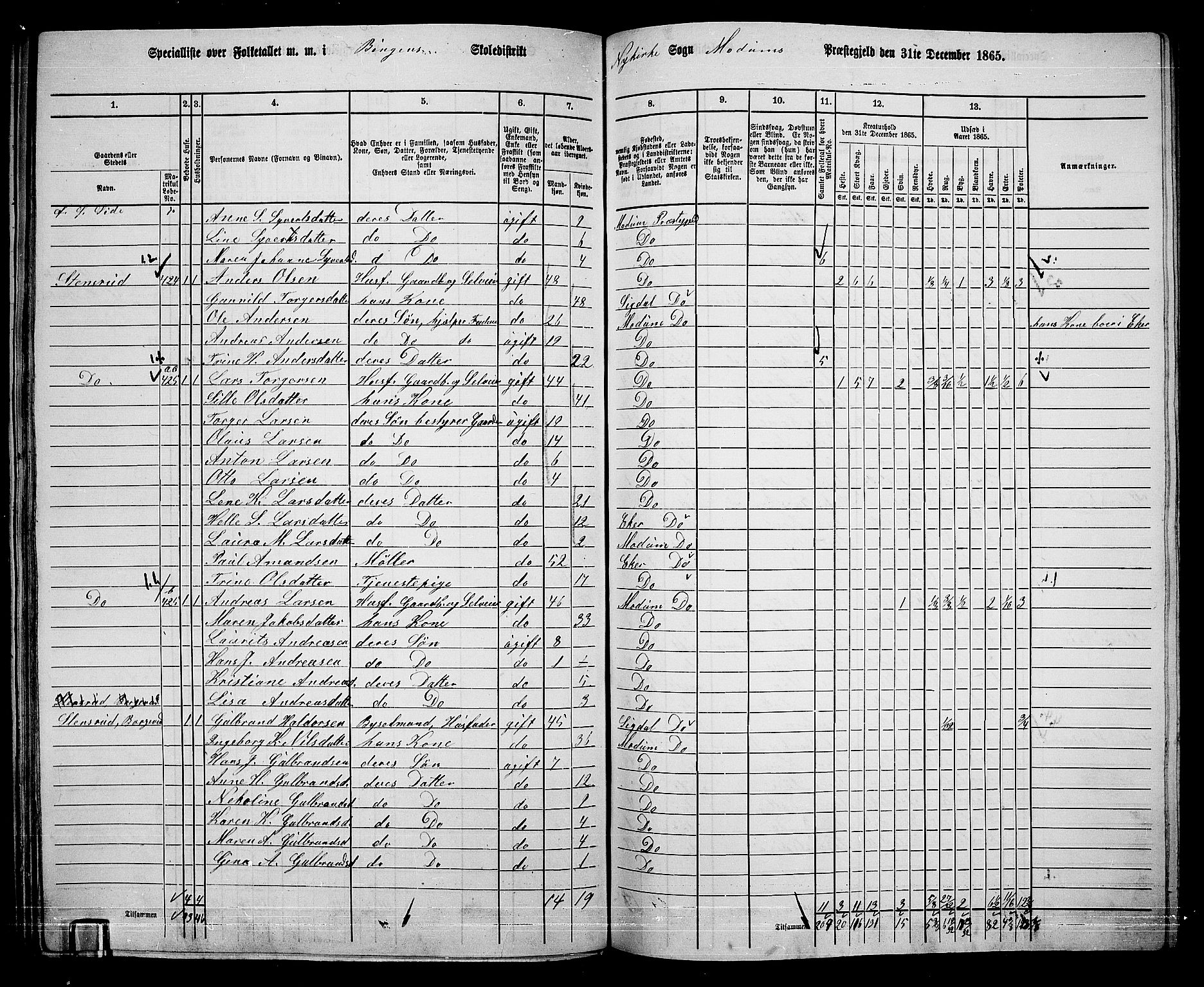 RA, 1865 census for Modum, 1865, p. 284