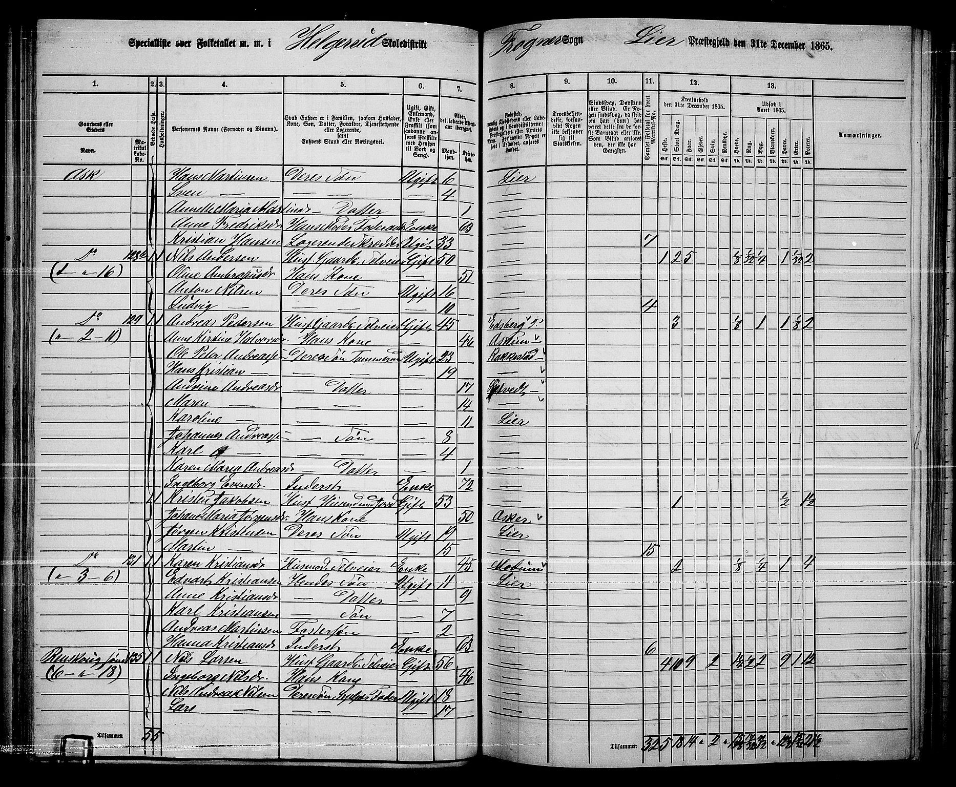 RA, 1865 census for Lier, 1865, p. 77