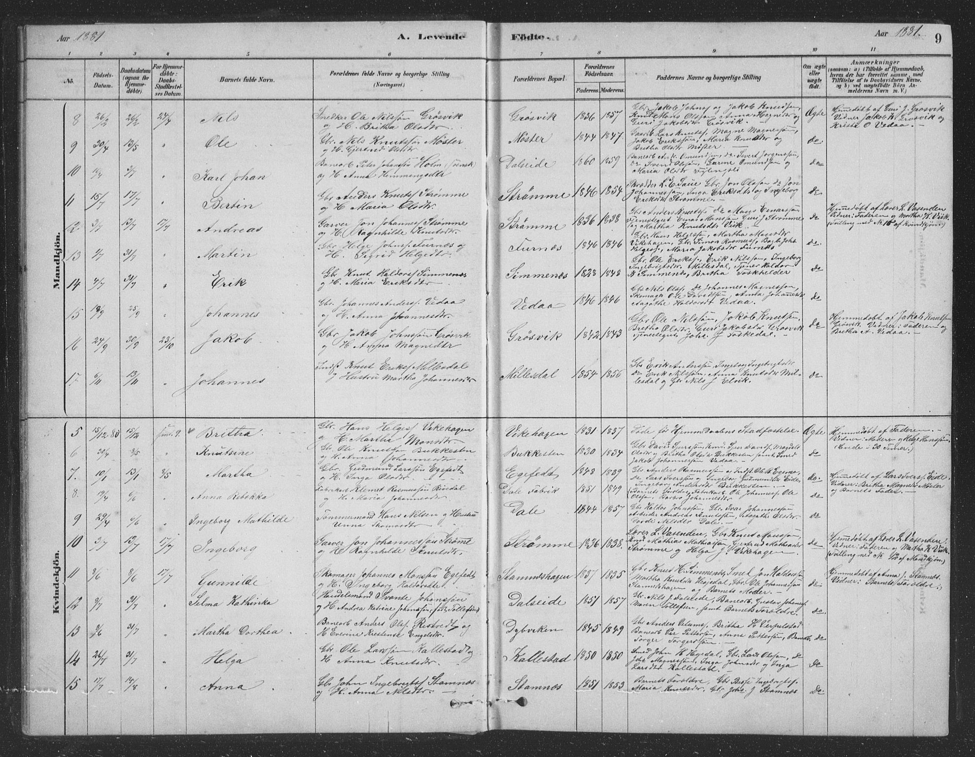 Vaksdal Sokneprestembete, AV/SAB-A-78901/H/Hab: Parish register (copy) no. D 1, 1878-1939, p. 9