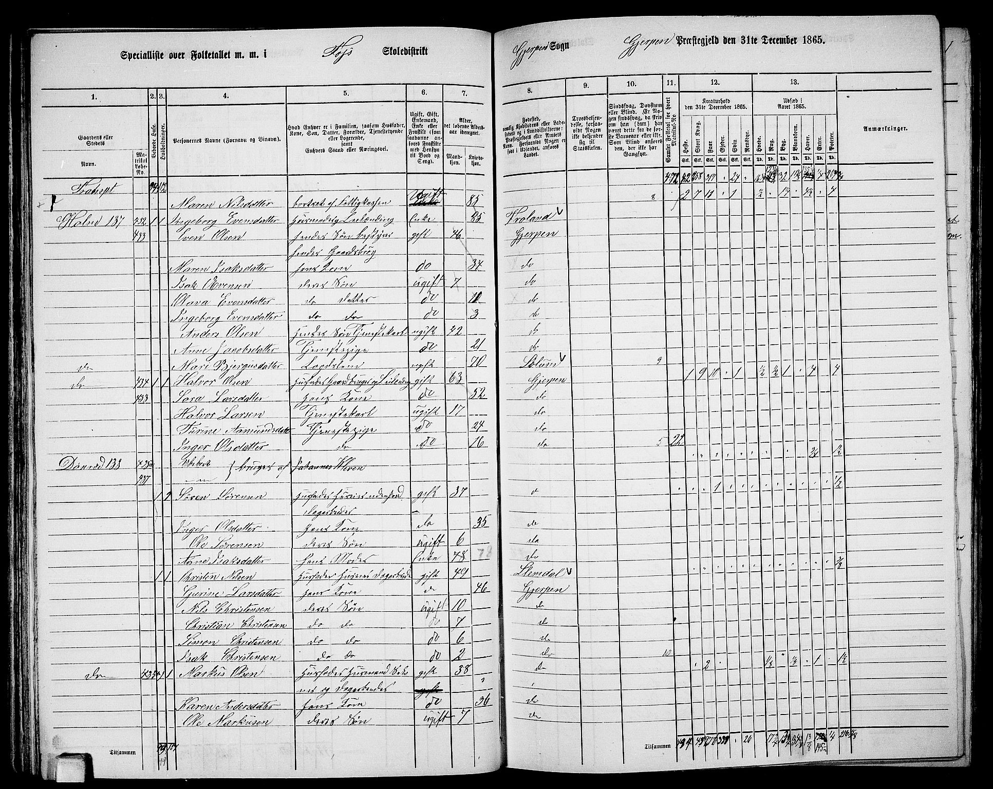 RA, 1865 census for Gjerpen, 1865, p. 105