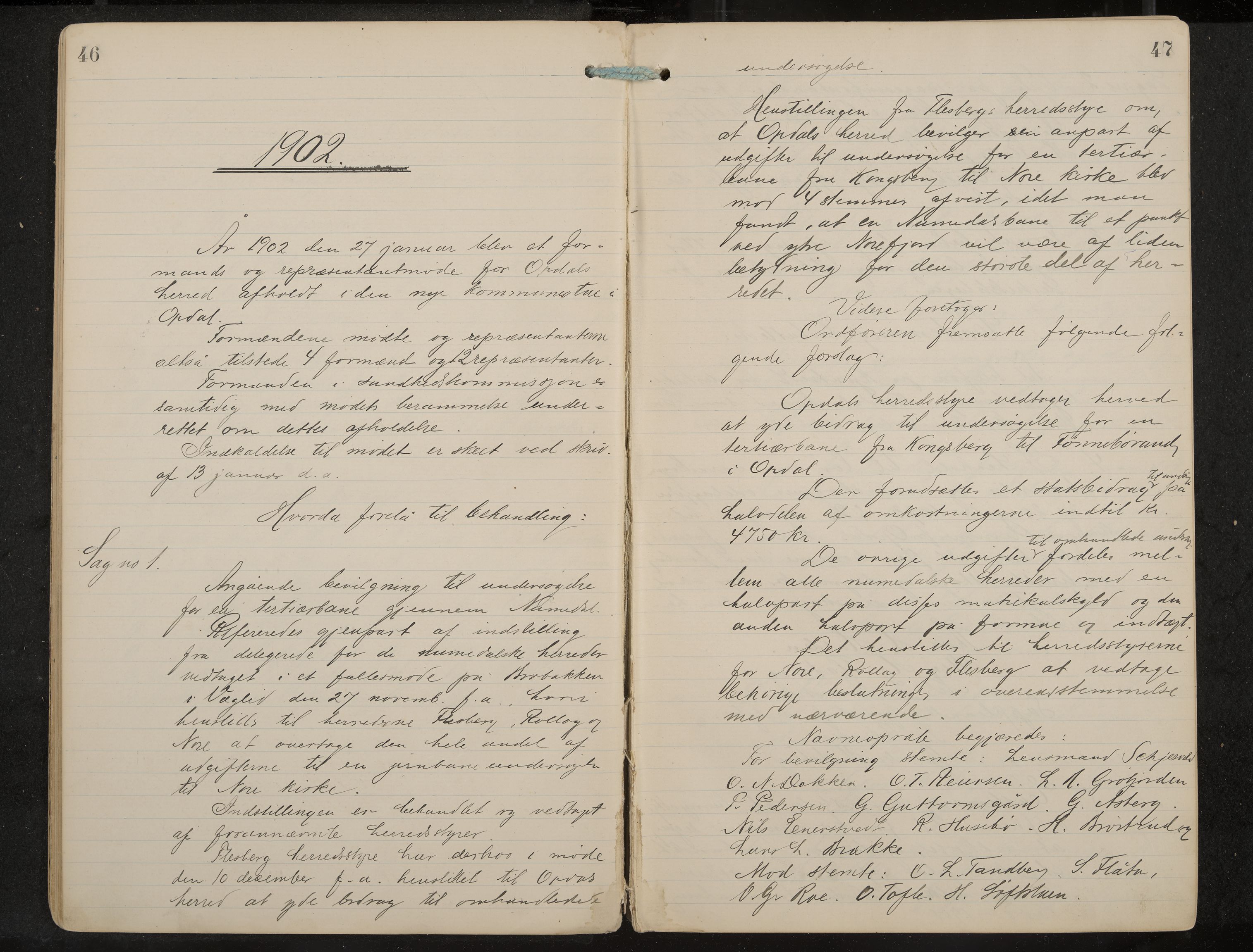 Uvdal formannskap og sentraladministrasjon, IKAK/0634021/A/Aa/L0001: Møtebok, 1901-1909, p. 46-47