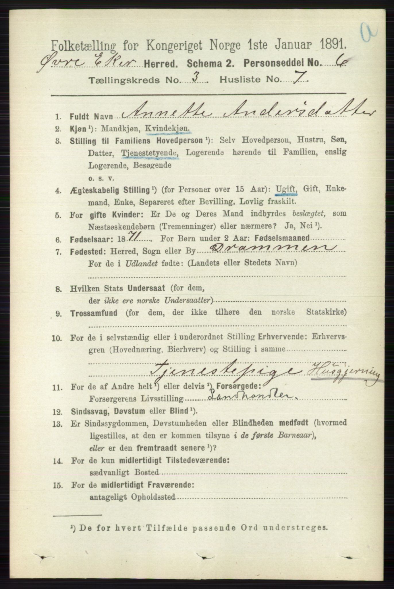 RA, 1891 census for 0624 Øvre Eiker, 1891, p. 1031