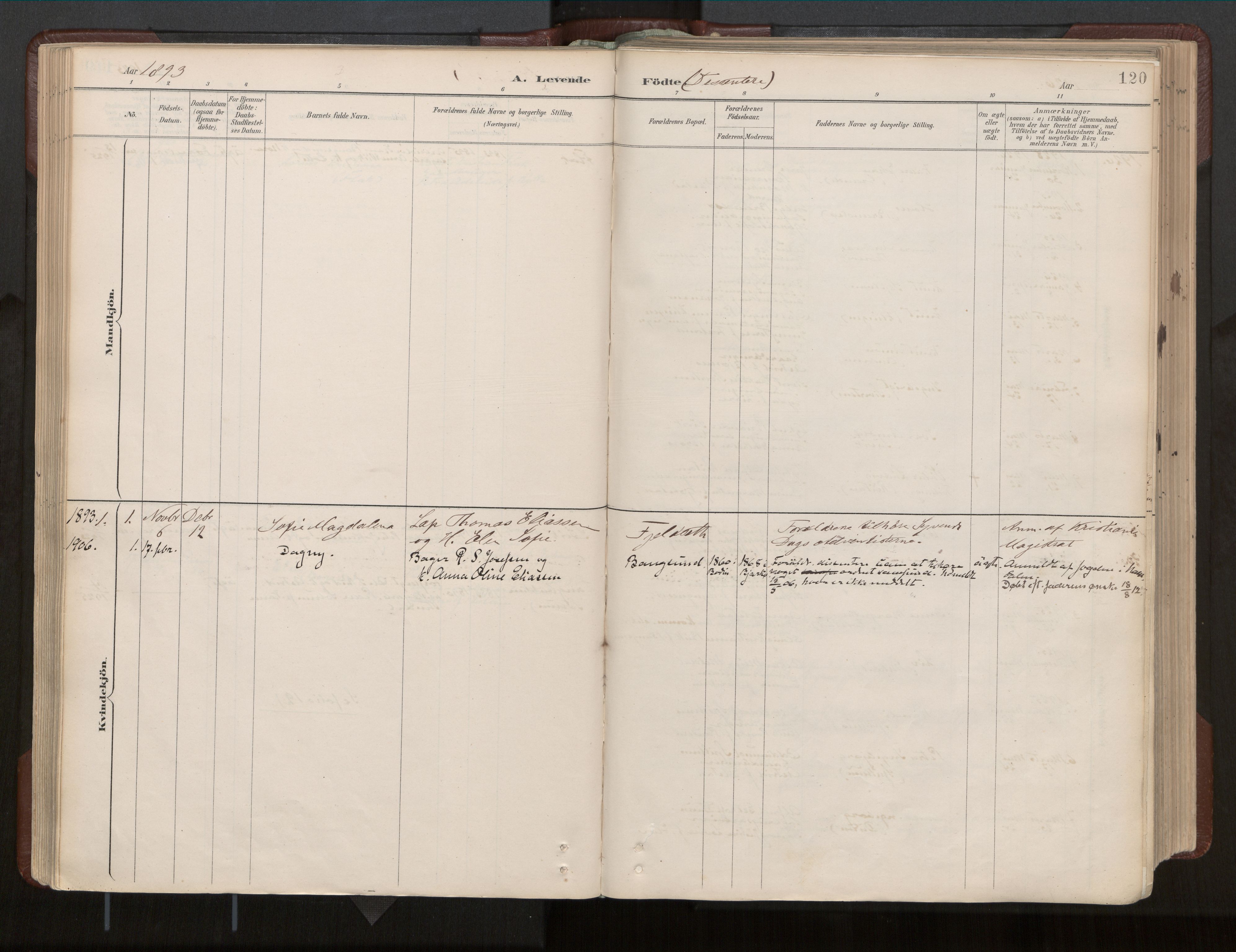 Ministerialprotokoller, klokkerbøker og fødselsregistre - Nord-Trøndelag, SAT/A-1458/770/L0589: Parish register (official) no. 770A03, 1887-1929, p. 120