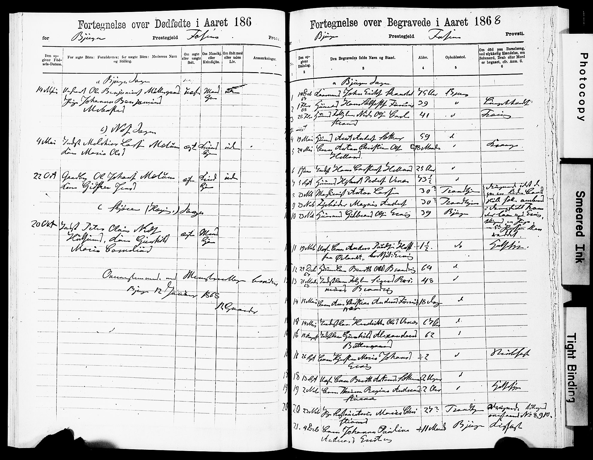 Ministerialprotokoller, klokkerbøker og fødselsregistre - Sør-Trøndelag, AV/SAT-A-1456/651/L0642: Parish register (official) no. 651A01, 1866-1872