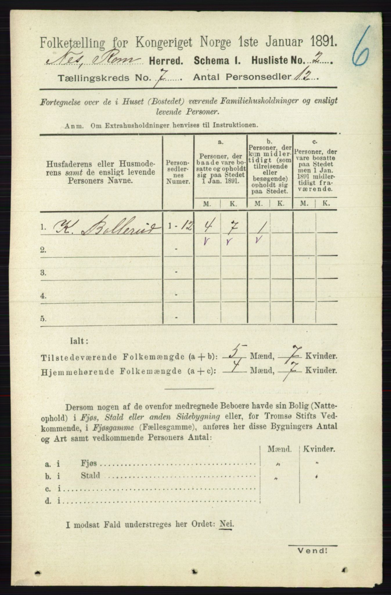 RA, 1891 census for 0236 Nes, 1891, p. 3943