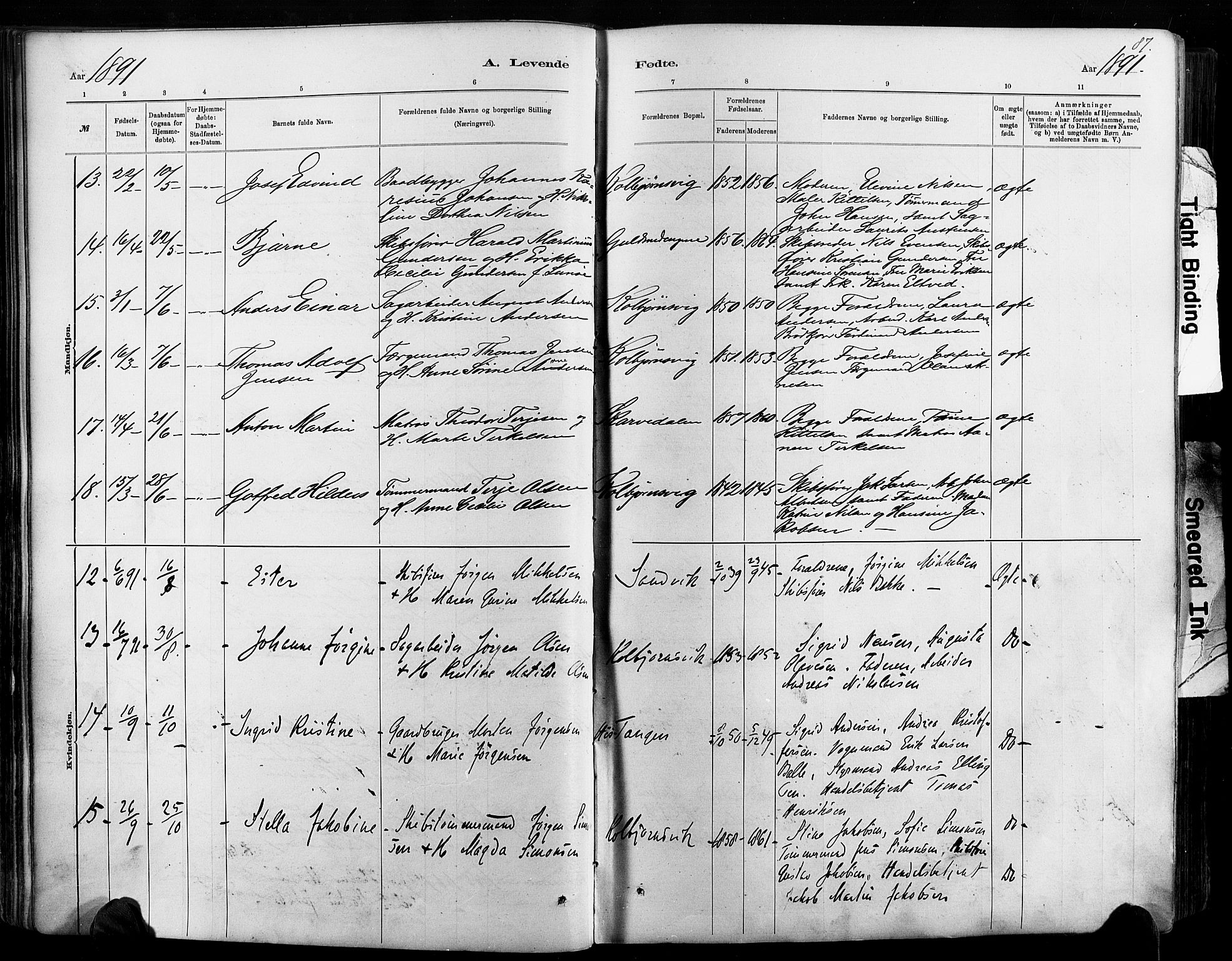 Hisøy sokneprestkontor, AV/SAK-1111-0020/F/Fa/L0003: Parish register (official) no. A 3, 1881-1894, p. 87