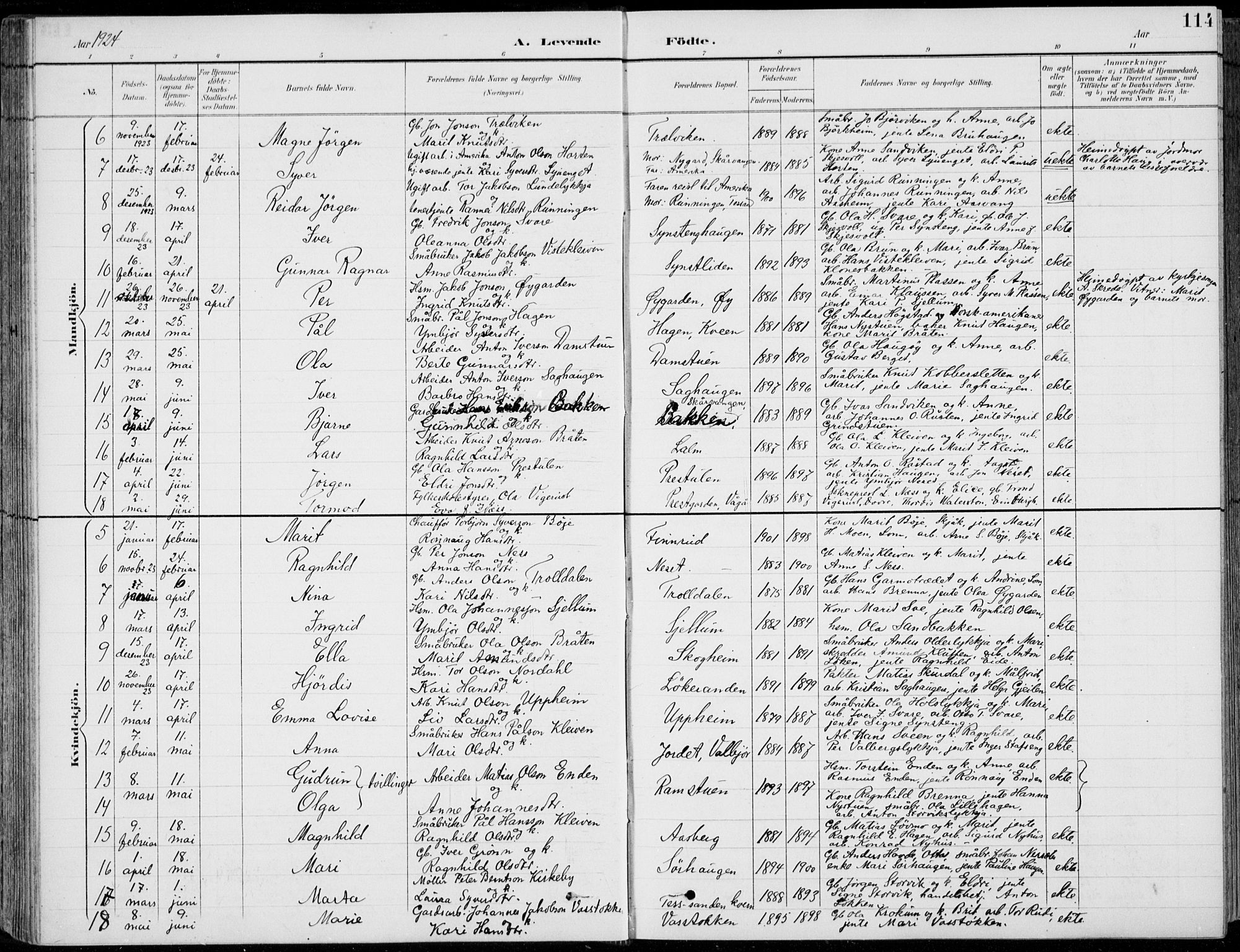 Vågå prestekontor, AV/SAH-PREST-076/H/Ha/Hab/L0002: Parish register (copy) no. 2, 1894-1939, p. 114