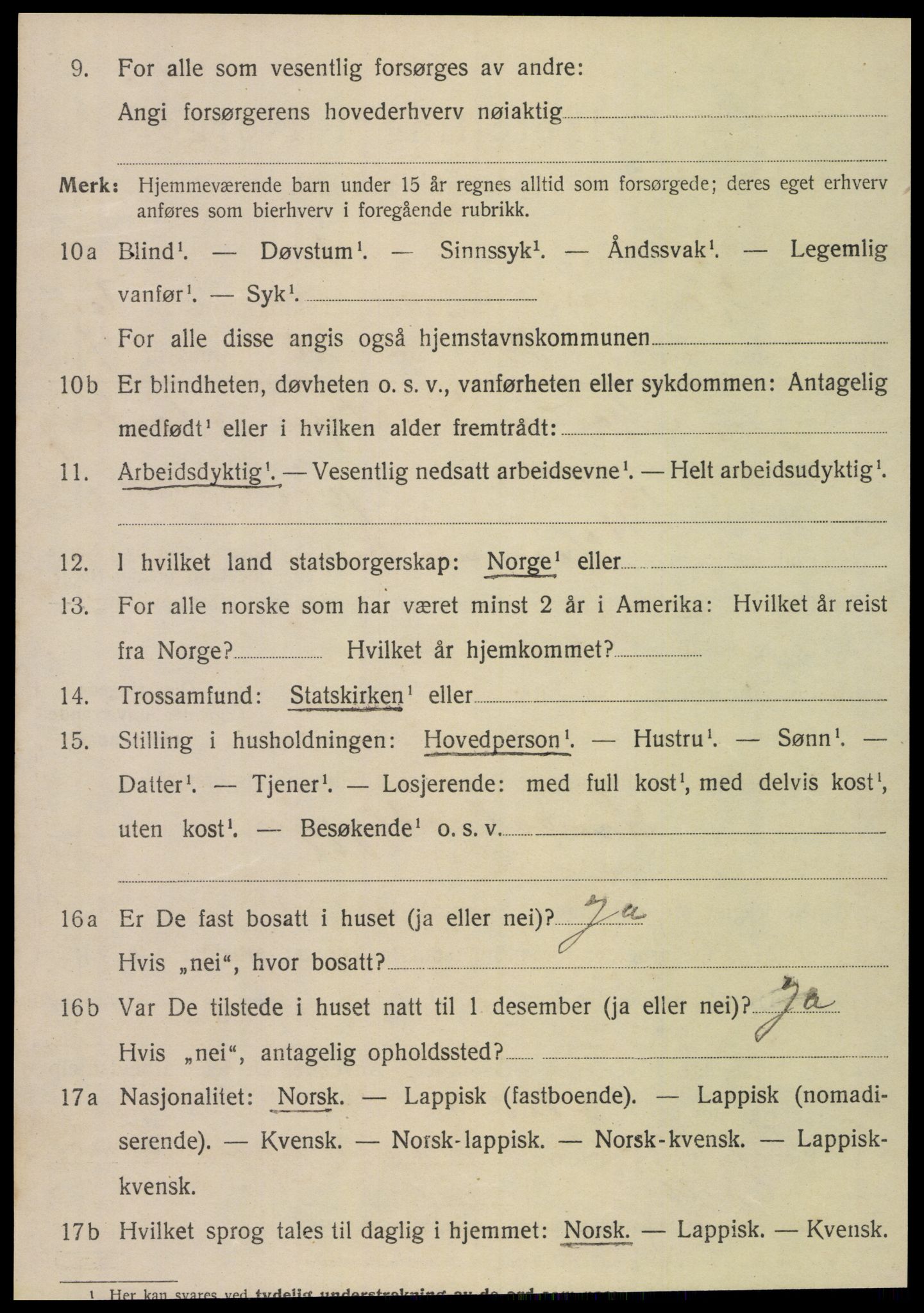 SAT, 1920 census for Hemnes, 1920, p. 6521