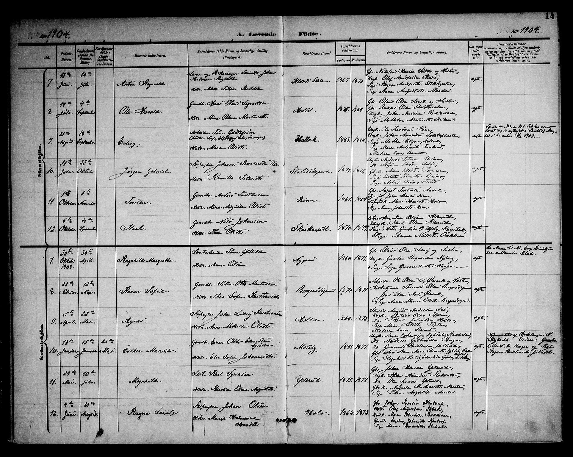 Rødenes prestekontor Kirkebøker, AV/SAO-A-2005/F/Fa/L0011: Parish register (official) no. I 11, 1901-1910, p. 14