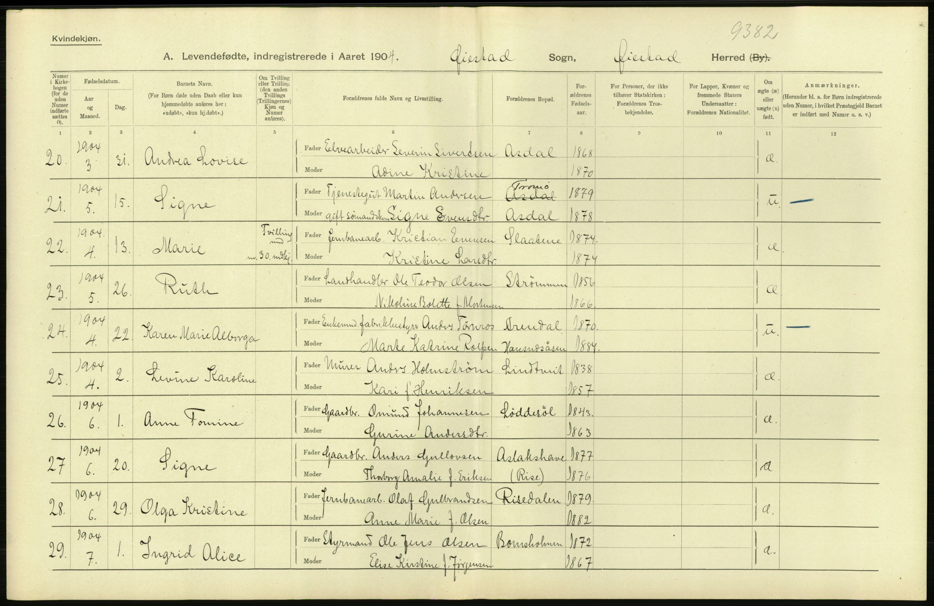 Statistisk sentralbyrå, Sosiodemografiske emner, Befolkning, AV/RA-S-2228/D/Df/Dfa/Dfab/L0010: Nedenes amt: Fødte, gifte, døde, 1904, p. 22