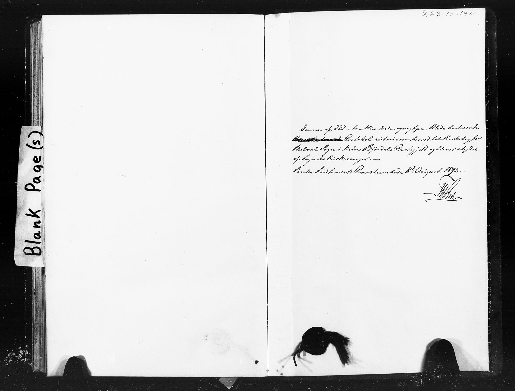 Ministerialprotokoller, klokkerbøker og fødselsregistre - Nord-Trøndelag, SAT/A-1458/712/L0103: Parish register (copy) no. 712C01, 1878-1917, p. 317