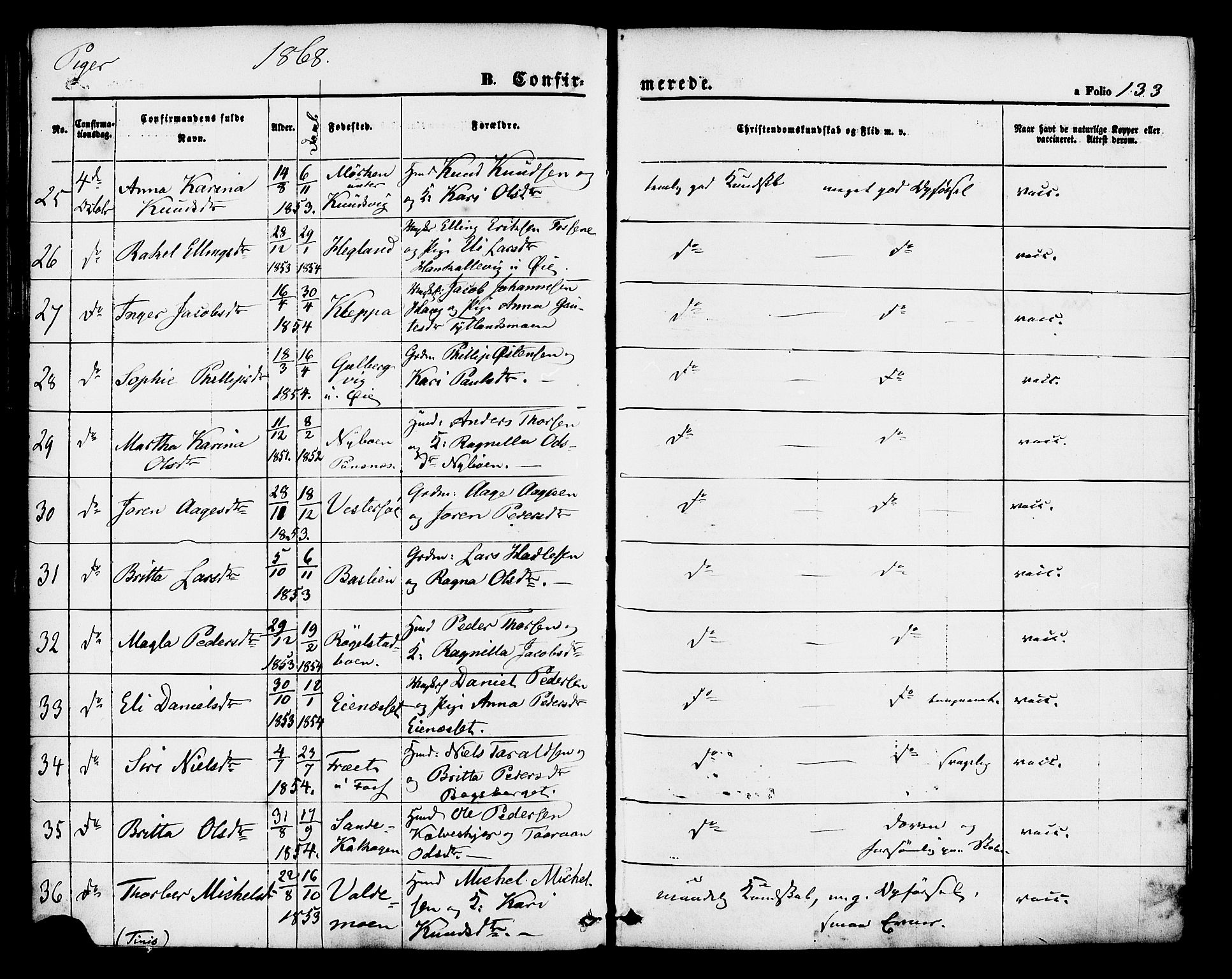 Hjelmeland sokneprestkontor, AV/SAST-A-101843/01/IV/L0011: Parish register (official) no. A 11, 1861-1878, p. 133