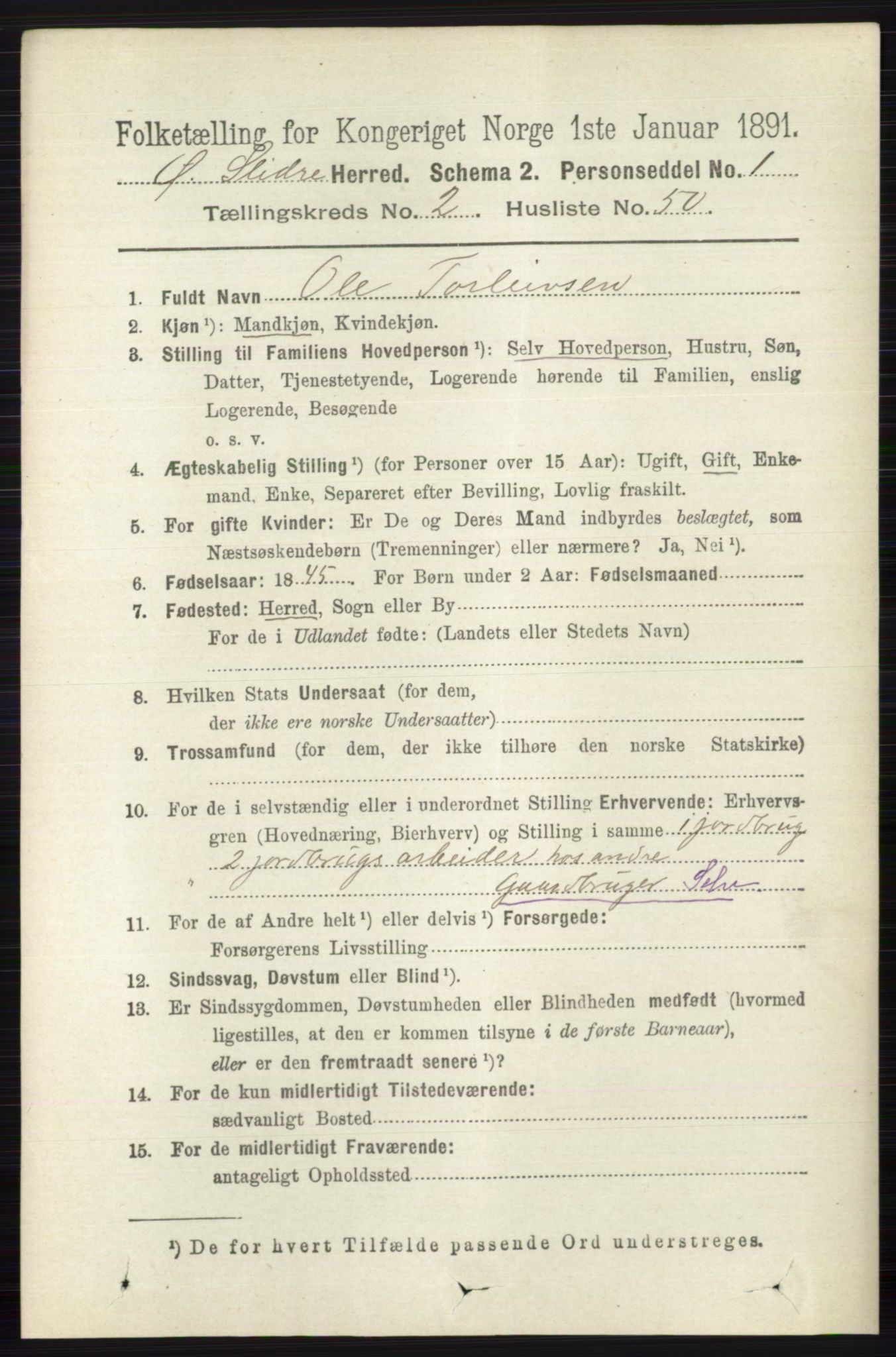 RA, 1891 census for 0544 Øystre Slidre, 1891, p. 541