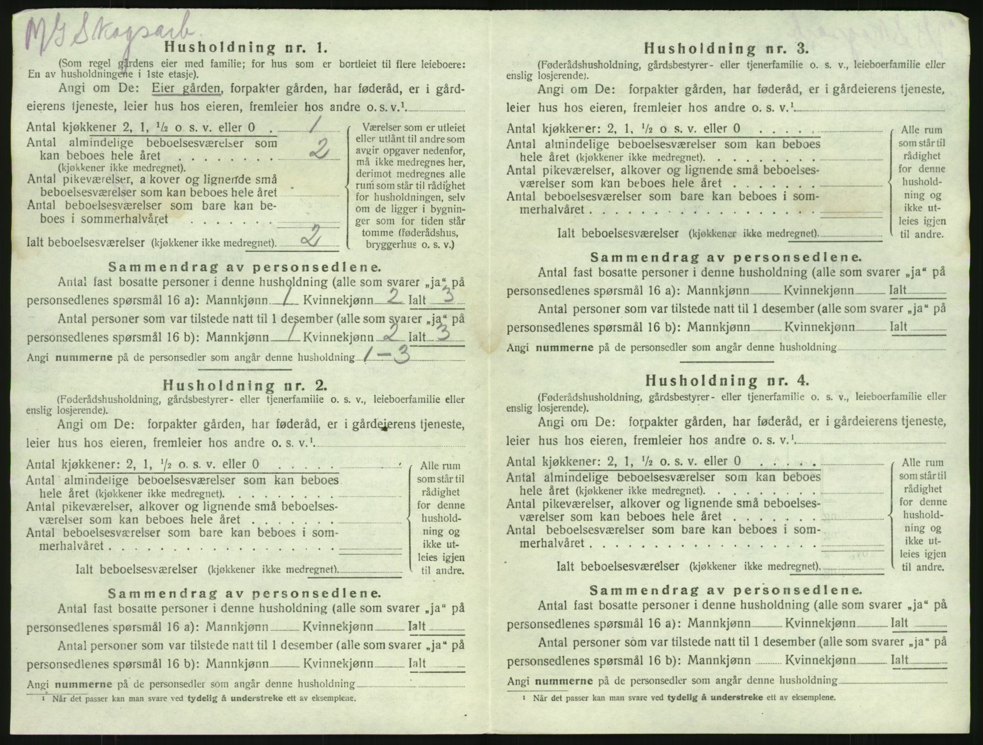 SAKO, 1920 census for Brunlanes, 1920, p. 728