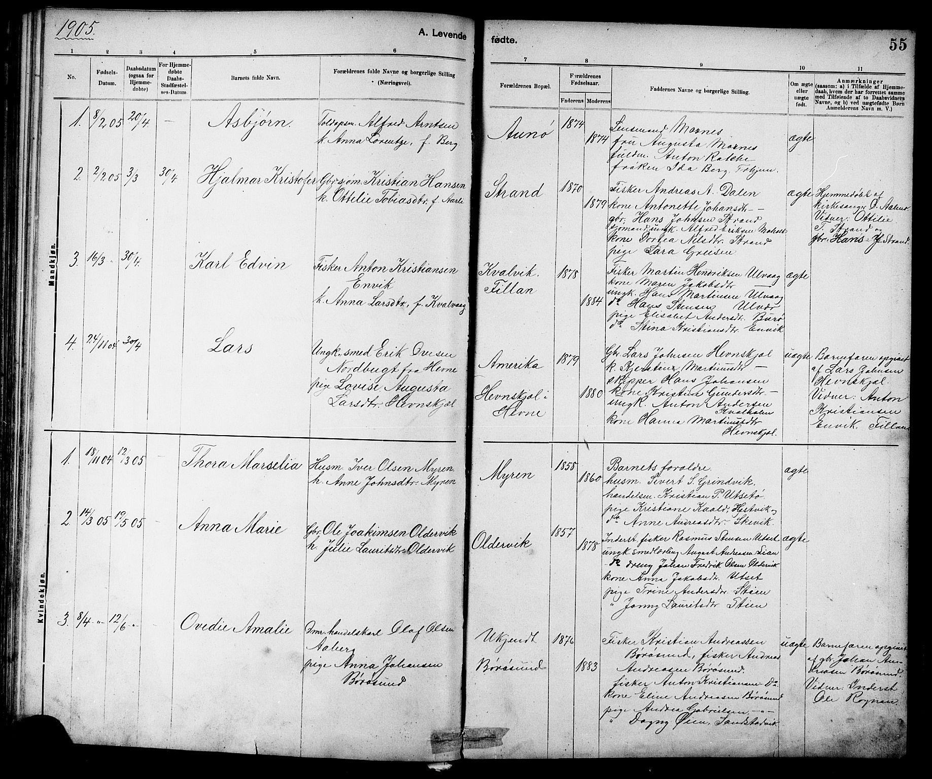 Ministerialprotokoller, klokkerbøker og fødselsregistre - Sør-Trøndelag, SAT/A-1456/639/L0573: Parish register (copy) no. 639C01, 1890-1905, p. 55