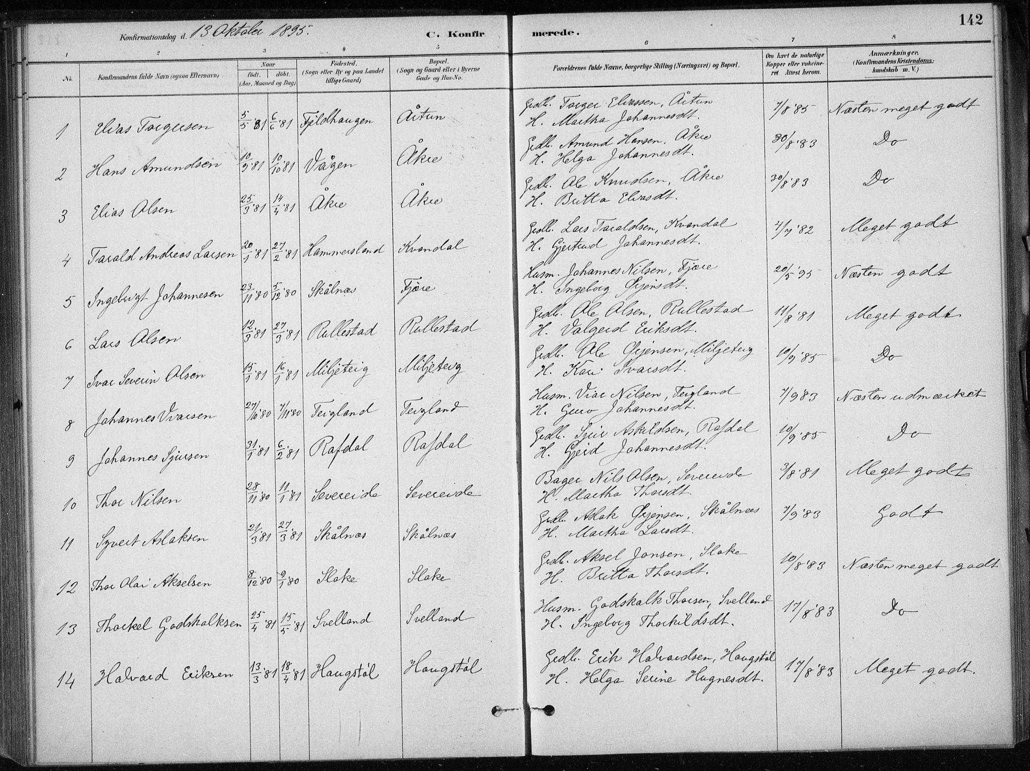 Skånevik sokneprestembete, SAB/A-77801/H/Haa: Parish register (official) no. E  1, 1879-1901, p. 142