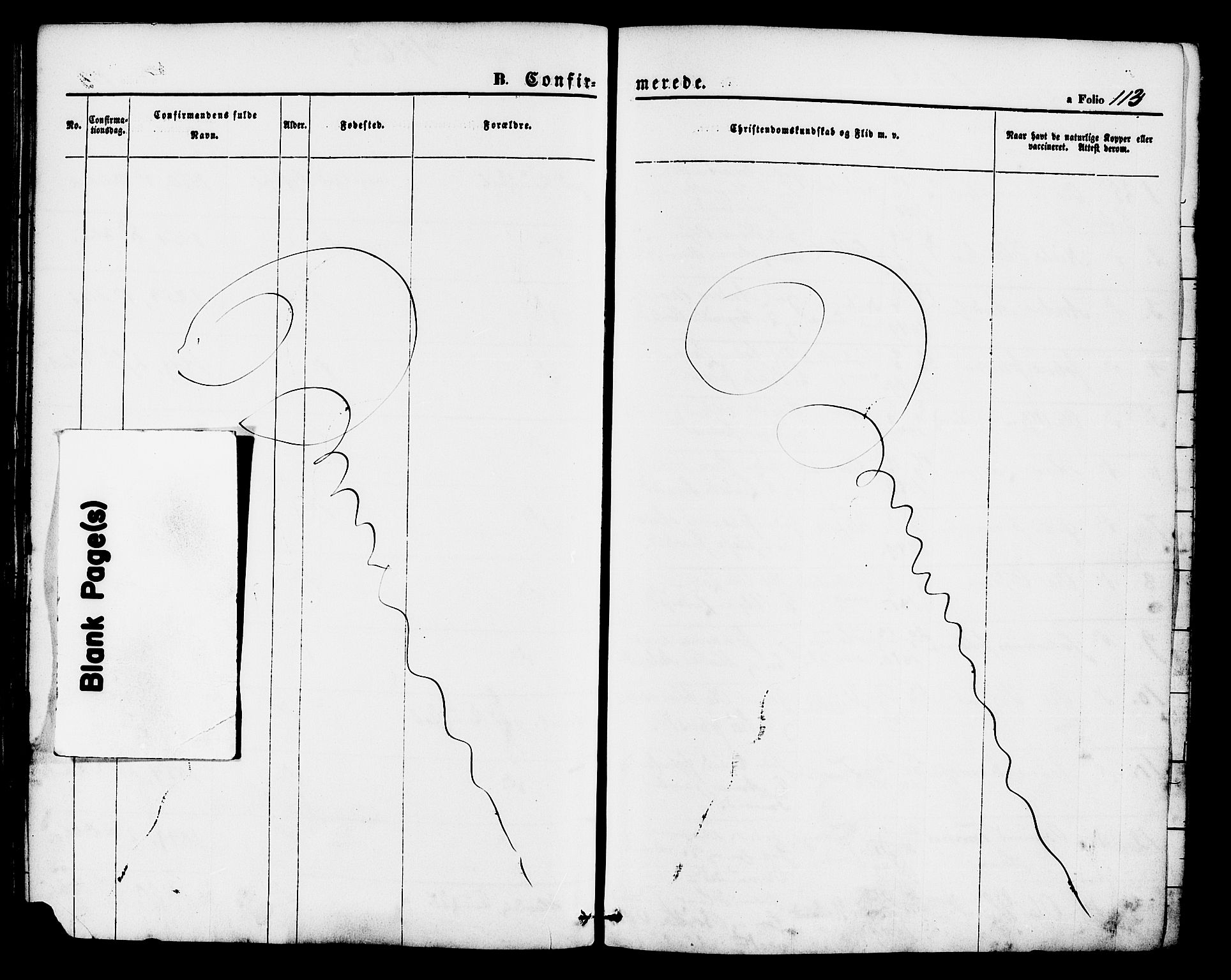 Hjelmeland sokneprestkontor, SAST/A-101843/01/IV/L0011: Parish register (official) no. A 11, 1861-1878, p. 113