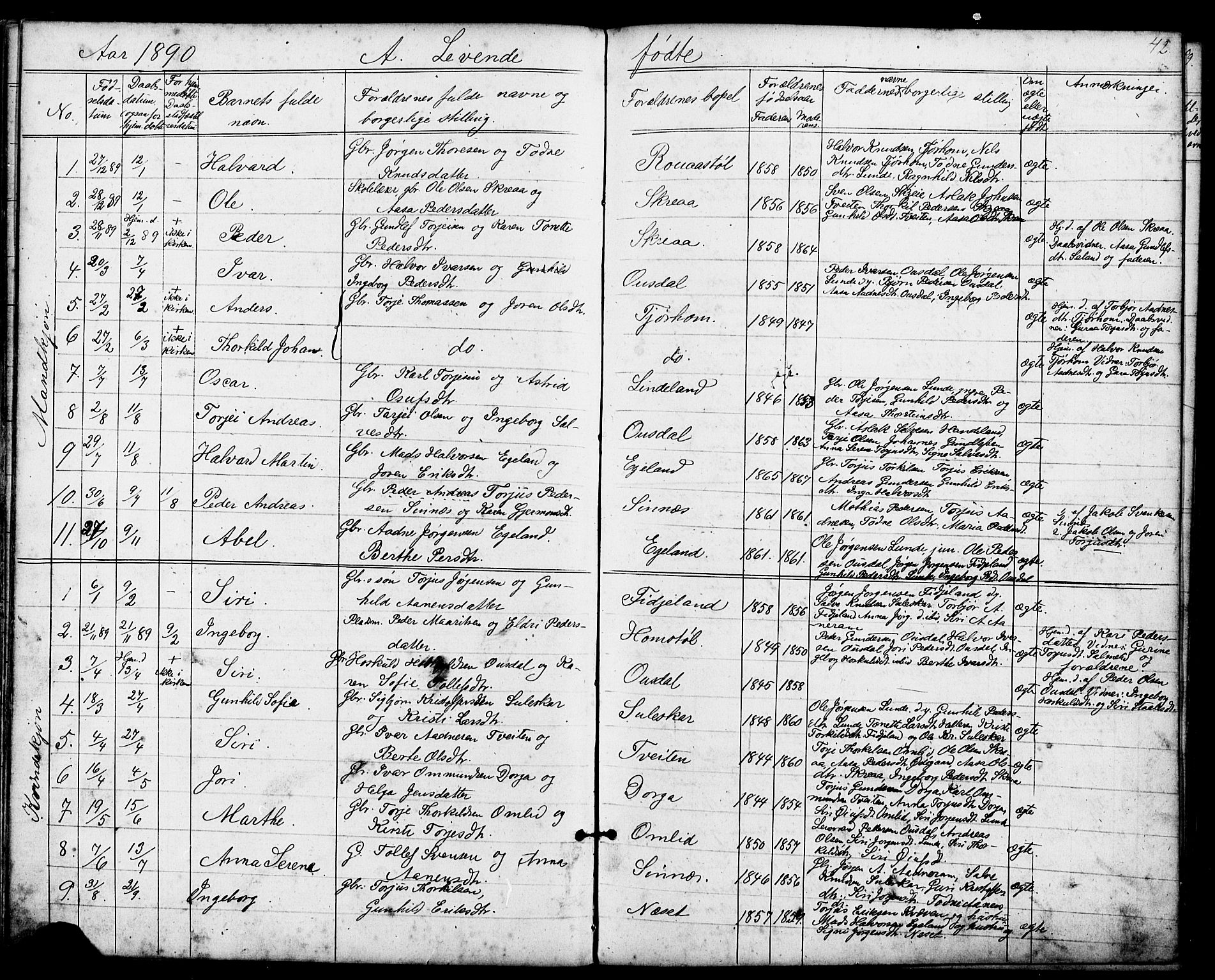 Sirdal sokneprestkontor, AV/SAK-1111-0036/F/Fb/Fba/L0001: Parish register (copy) no. B 1, 1872-1905, p. 42