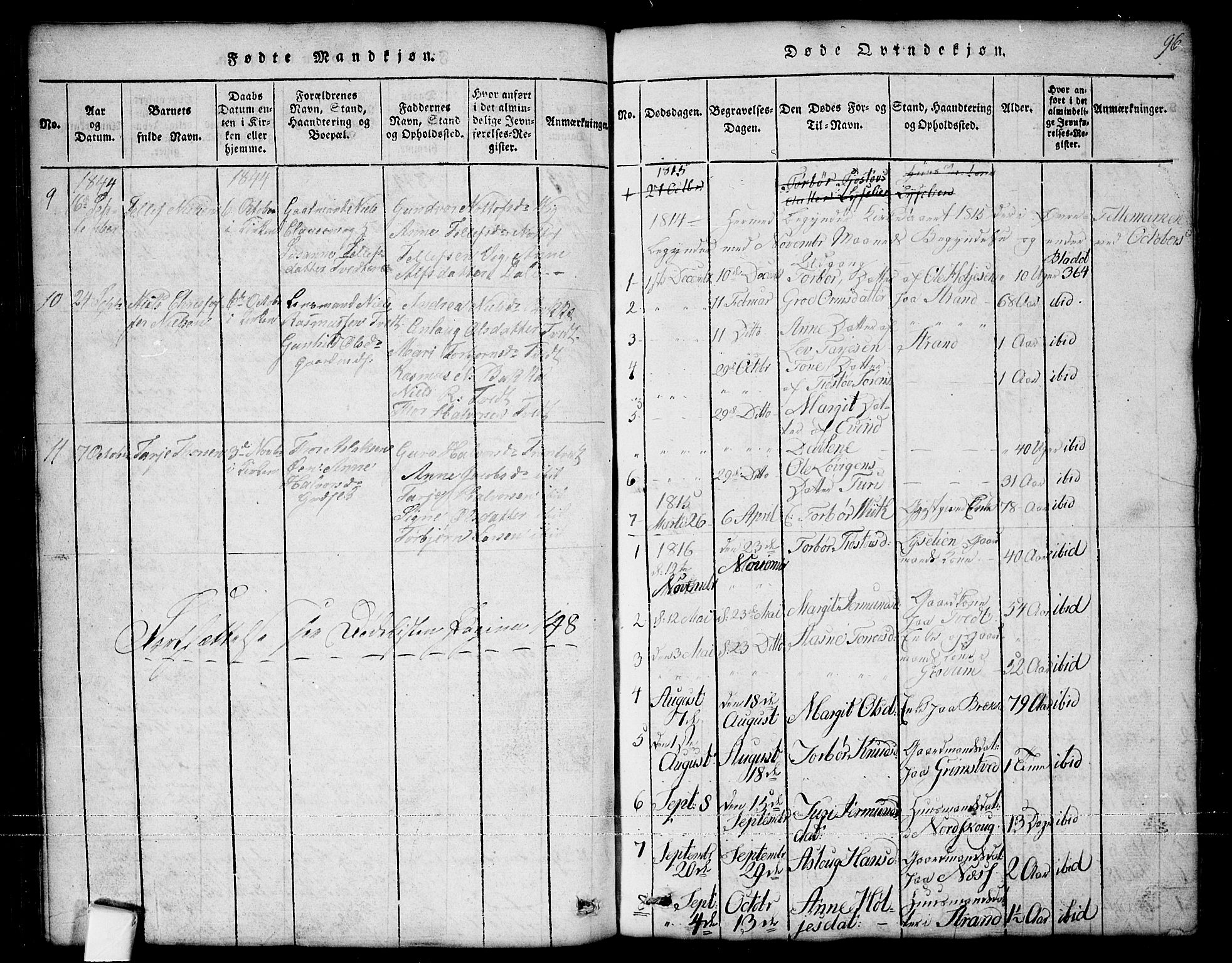 Nissedal kirkebøker, SAKO/A-288/G/Ga/L0001: Parish register (copy) no. I 1, 1814-1860, p. 96